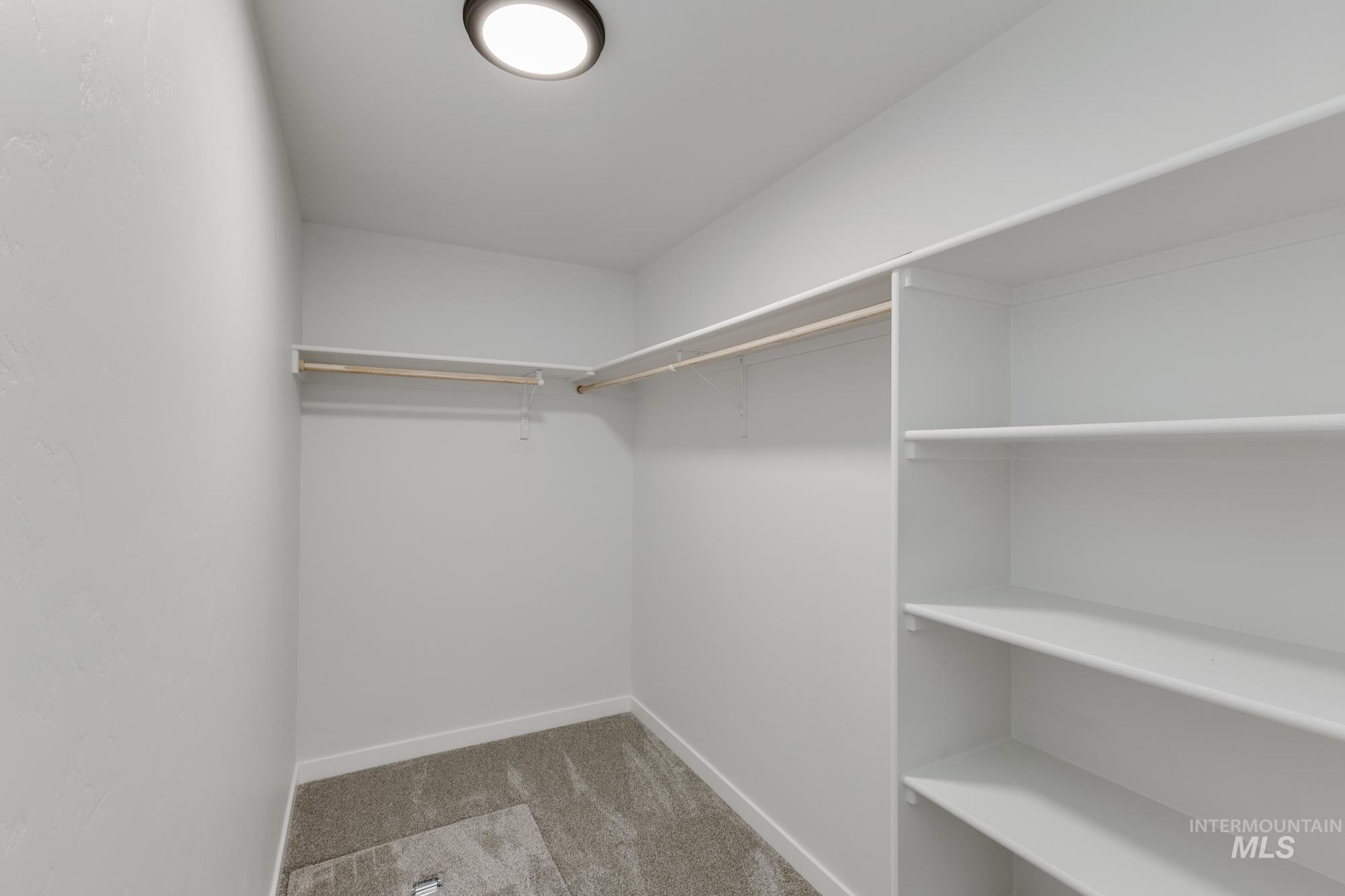 Spacious closet featuring light colored carpet