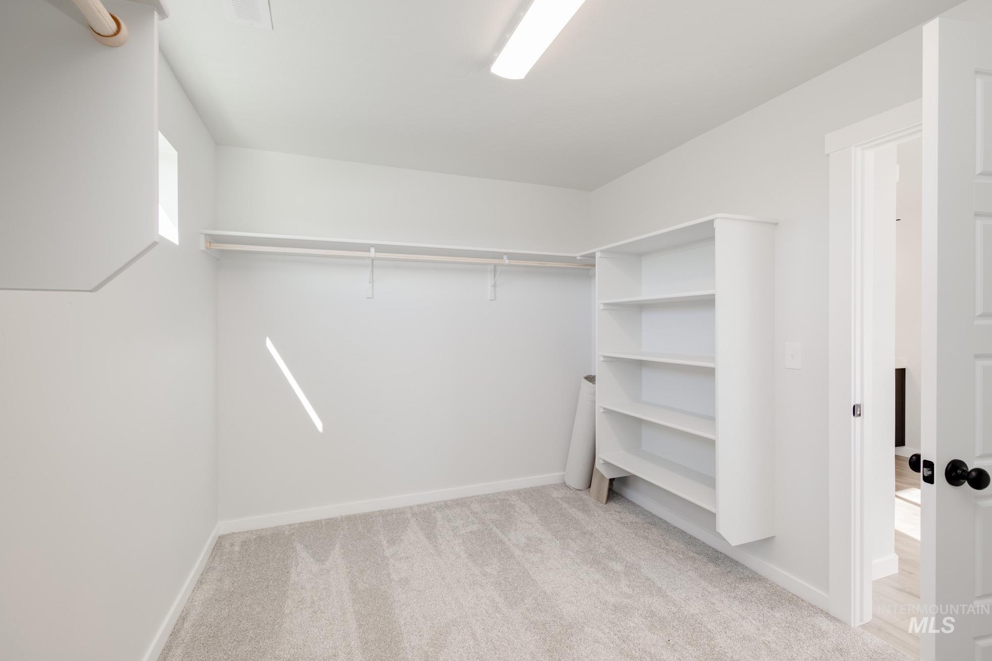 Spacious closet with light carpet