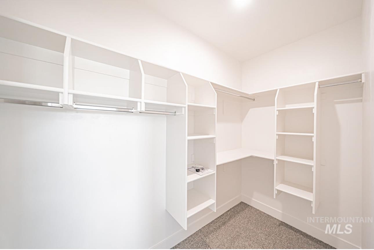 Spacious closet with light colored carpet