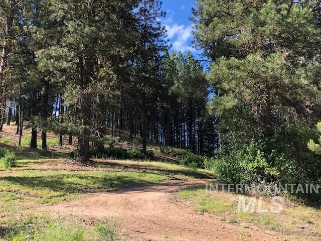 840/842 Banks Lowman Rd, Garden Valley, Idaho 83622, 2 Bedrooms, 1 Bathroom, Residential Income For Sale, Price $2,950,000,MLS 98969770