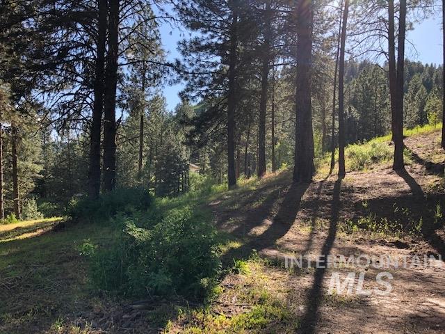 840/842 Banks Lowman Rd, Garden Valley, Idaho 83622, 2 Bedrooms, 1 Bathroom, Residential Income For Sale, Price $2,950,000, 98969770