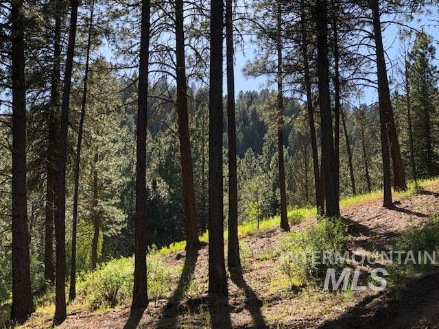 840/842 Banks Lowman Rd, Garden Valley, Idaho 83622, 2 Bedrooms, 1 Bathroom, Residential Income For Sale, Price $2,950,000, 98969770