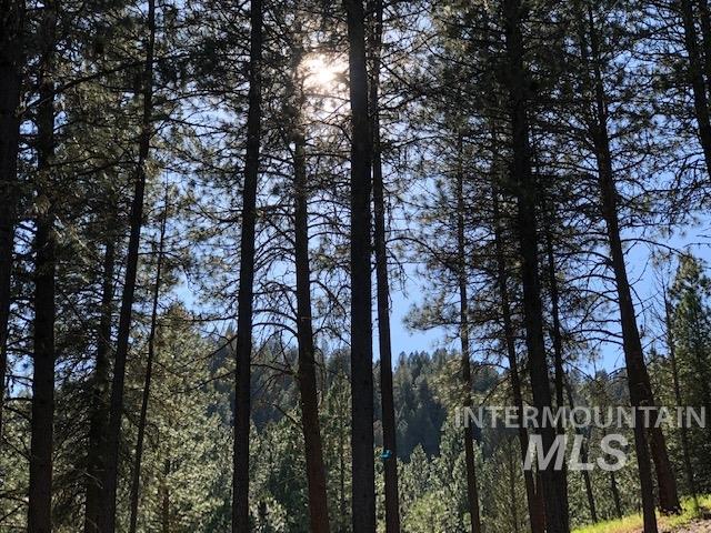 840/842 Banks Lowman Rd, Garden Valley, Idaho 83622, 2 Bedrooms, 1 Bathroom, Residential Income For Sale, Price $2,950,000, 98969770