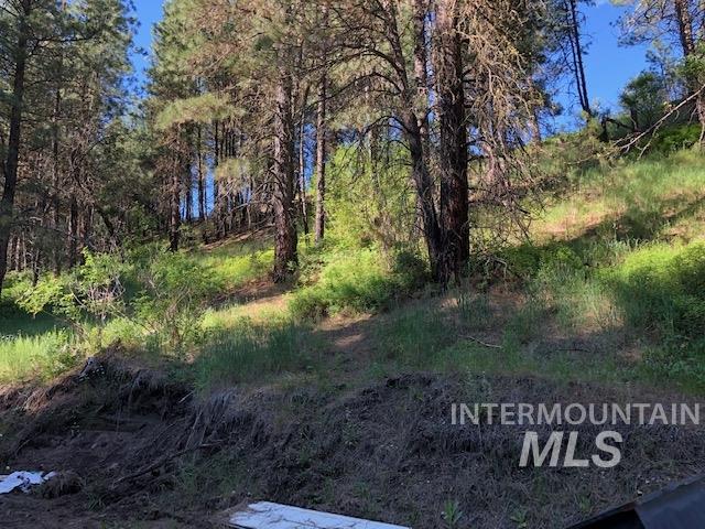 840/842 Banks Lowman Rd, Garden Valley, Idaho 83622, 2 Bedrooms, 1 Bathroom, Residential Income For Sale, Price $2,950,000,MLS 98969770