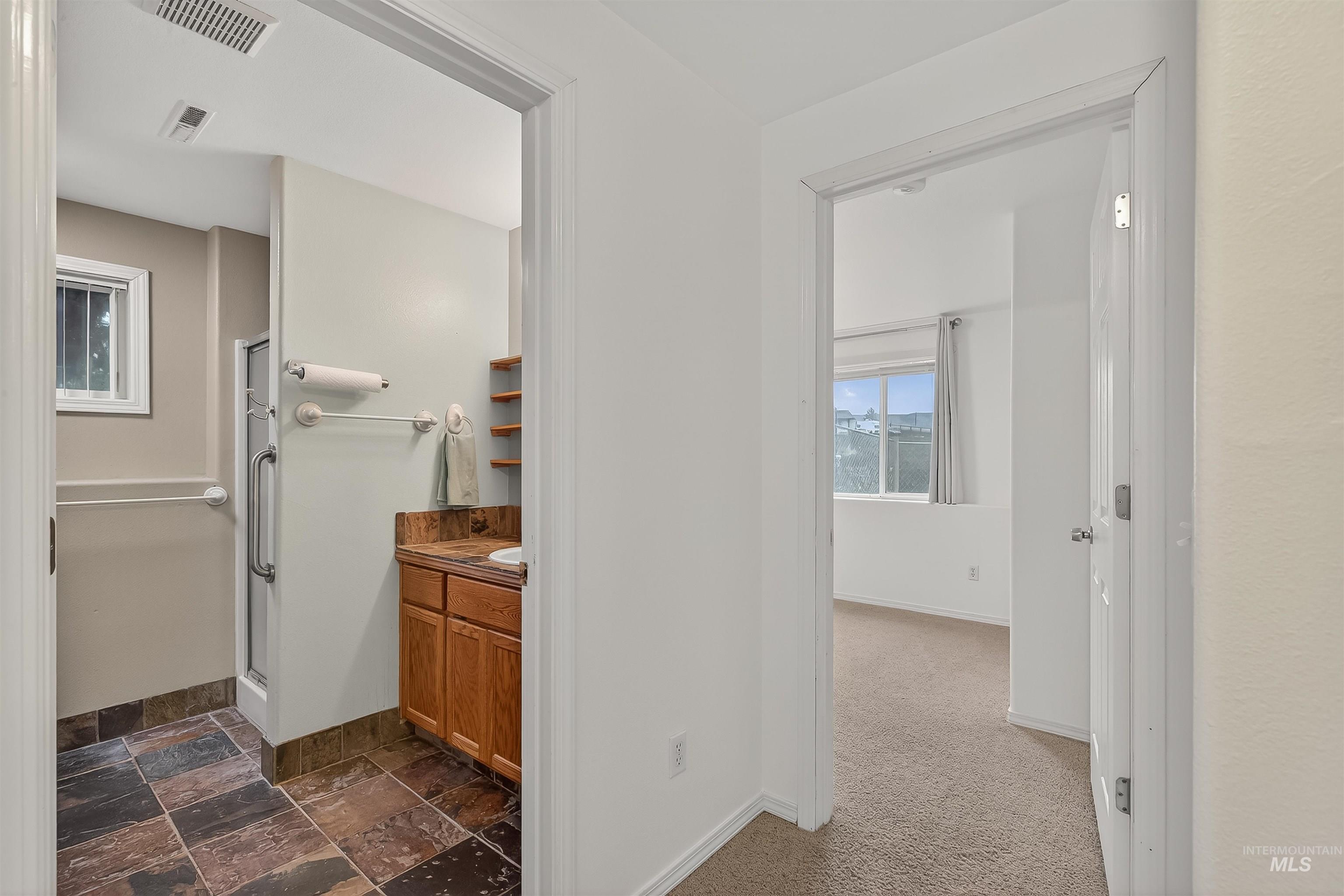Bathroom featuring a shower stall, vanity, dark carpet, and dark stone finish floors