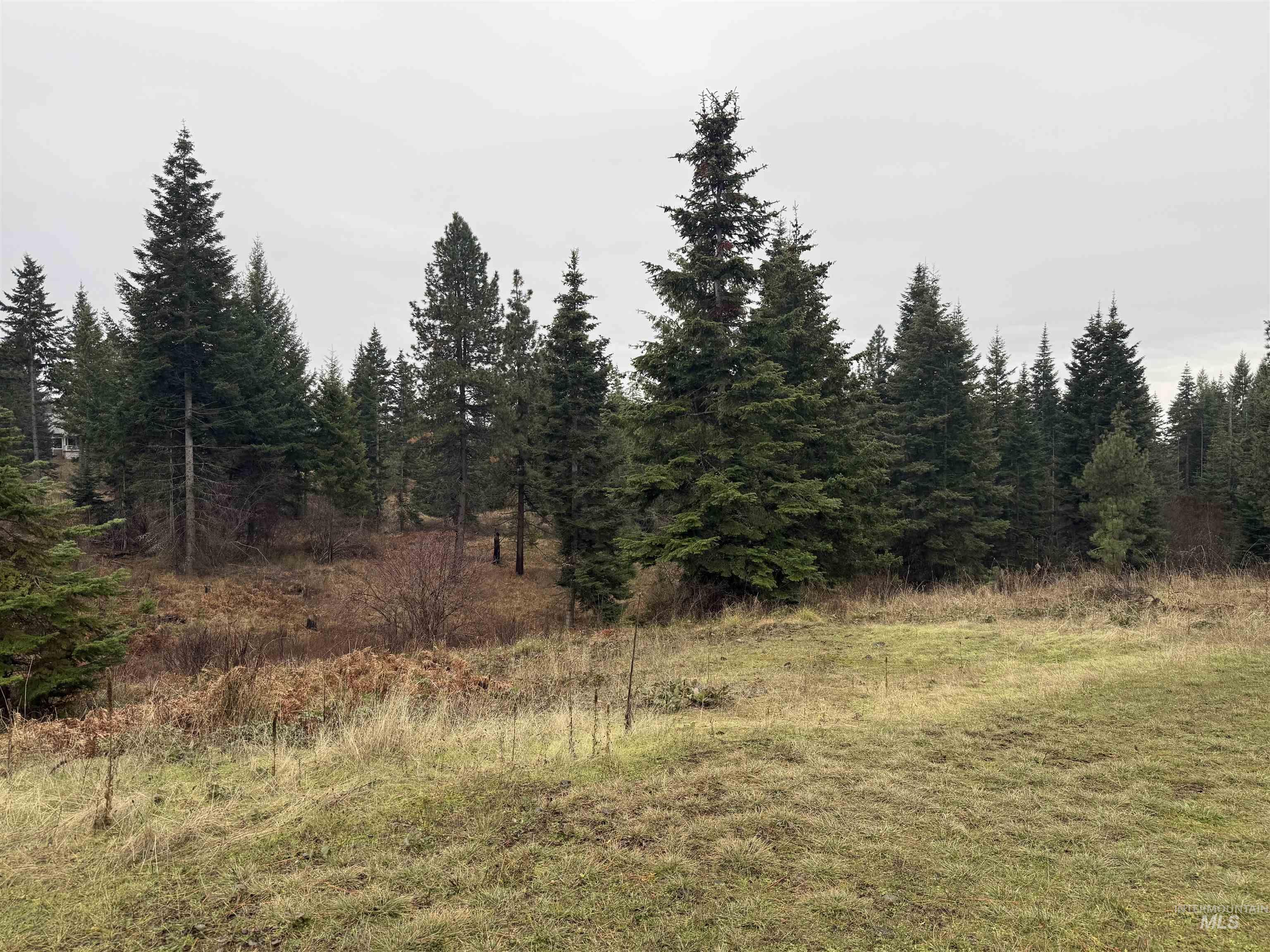 1653 Kidder Ridge, Kamiah, Idaho 83536, 2 Bedrooms, 2 Bathrooms, Residential For Sale, Price $689,000, 98969776