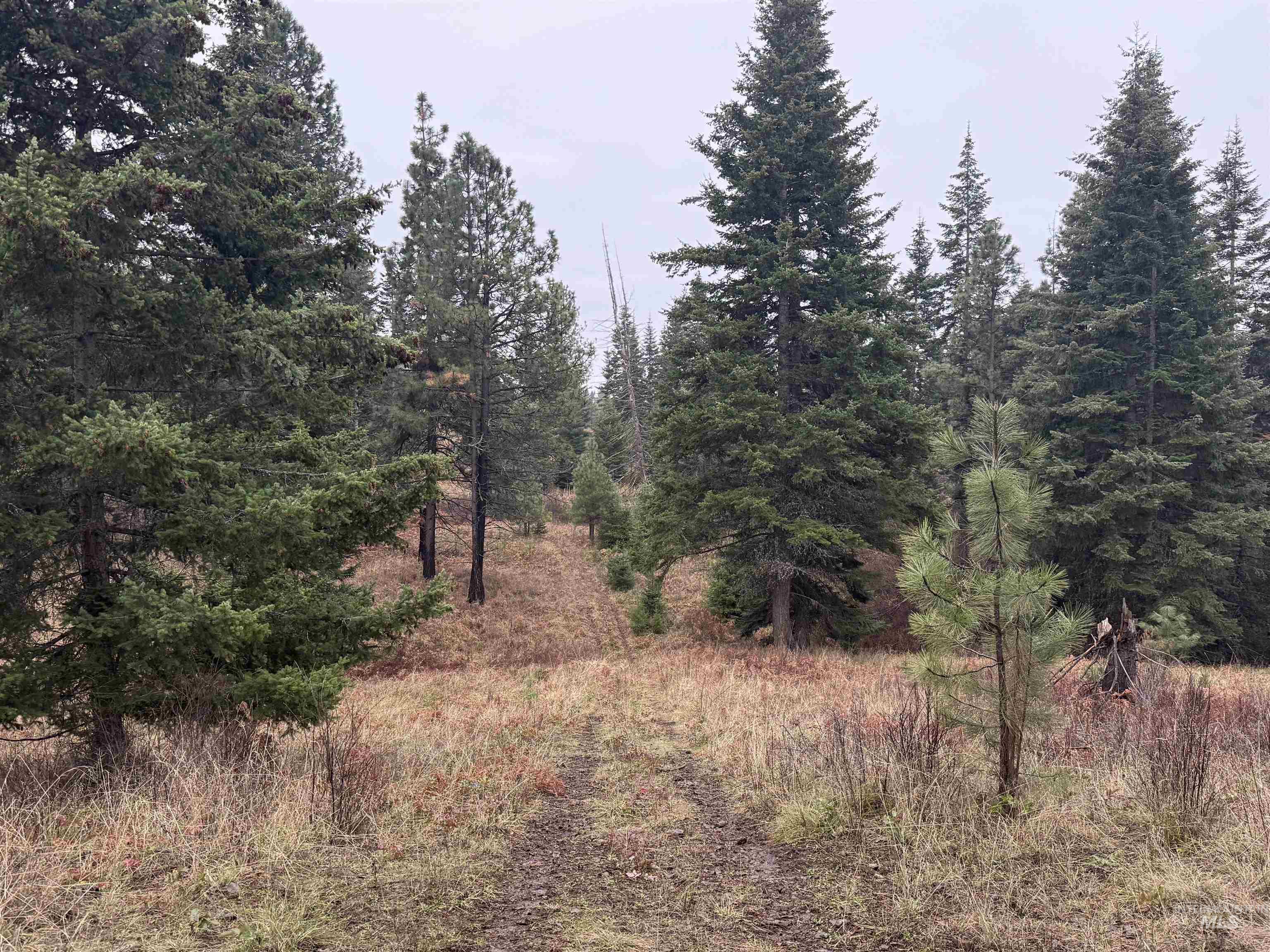 1653 Kidder Ridge, Kamiah, Idaho 83536, 2 Bedrooms, 2 Bathrooms, Residential For Sale, Price $689,000, 98969776