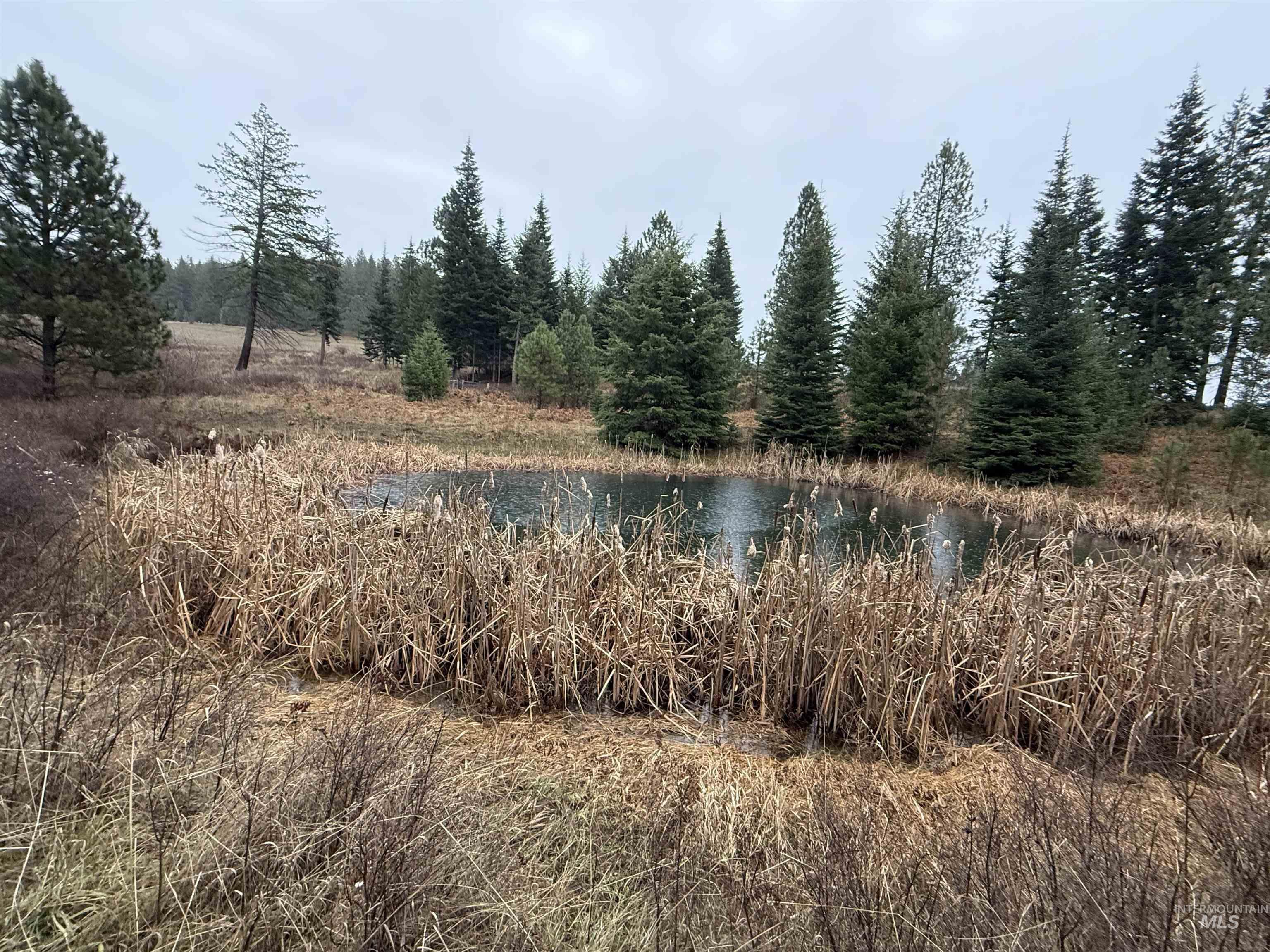 1653 Kidder Ridge, Kamiah, Idaho 83536, 2 Bedrooms, 2 Bathrooms, Residential For Sale, Price $689,000, 98969776