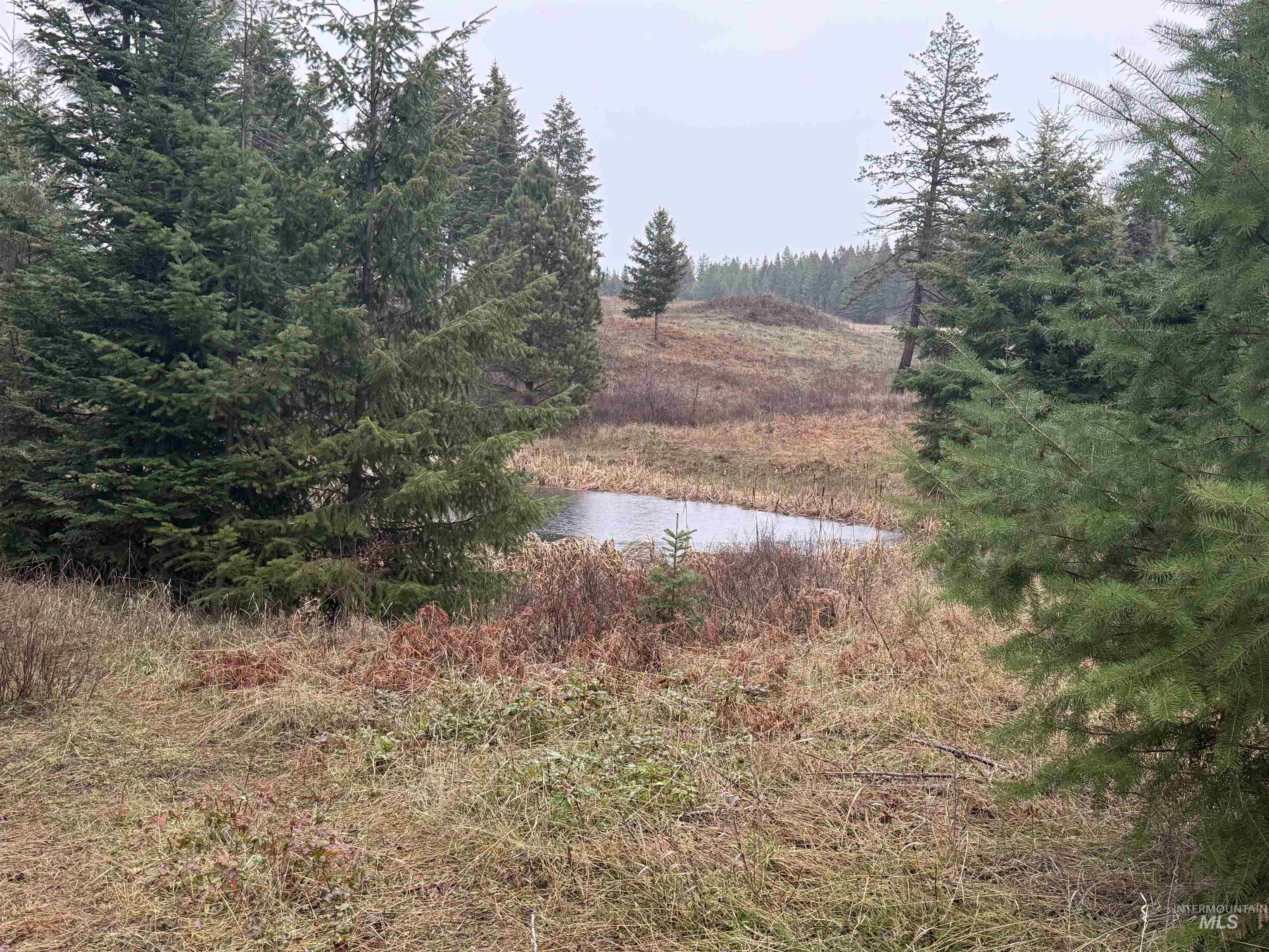 View of yard featuring a water view and a wooded view