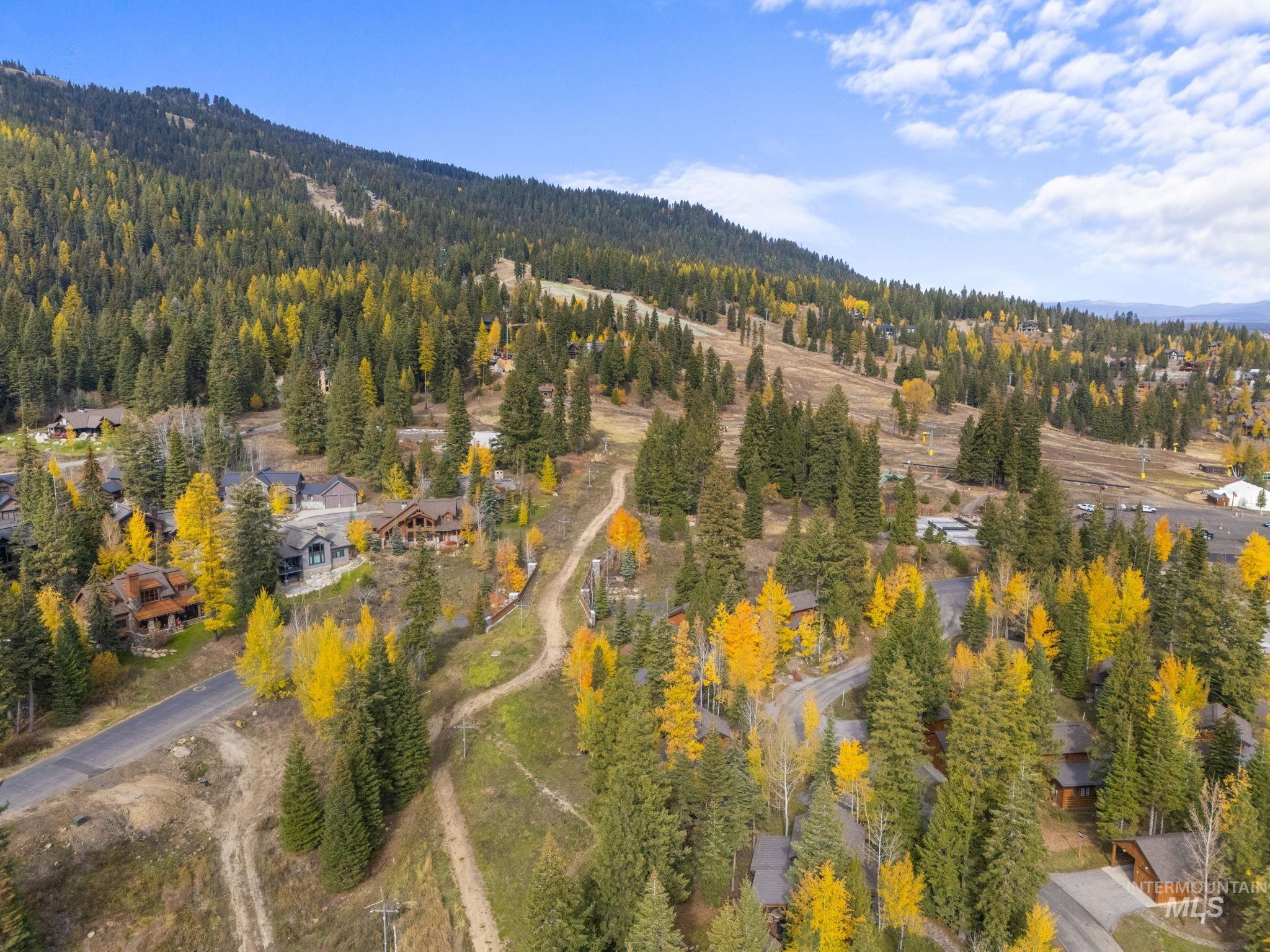 Drone / aerial view of a forest
