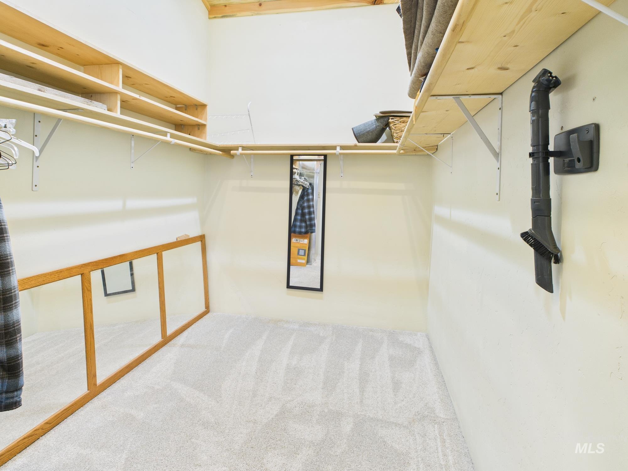 Walk in closet with carpet