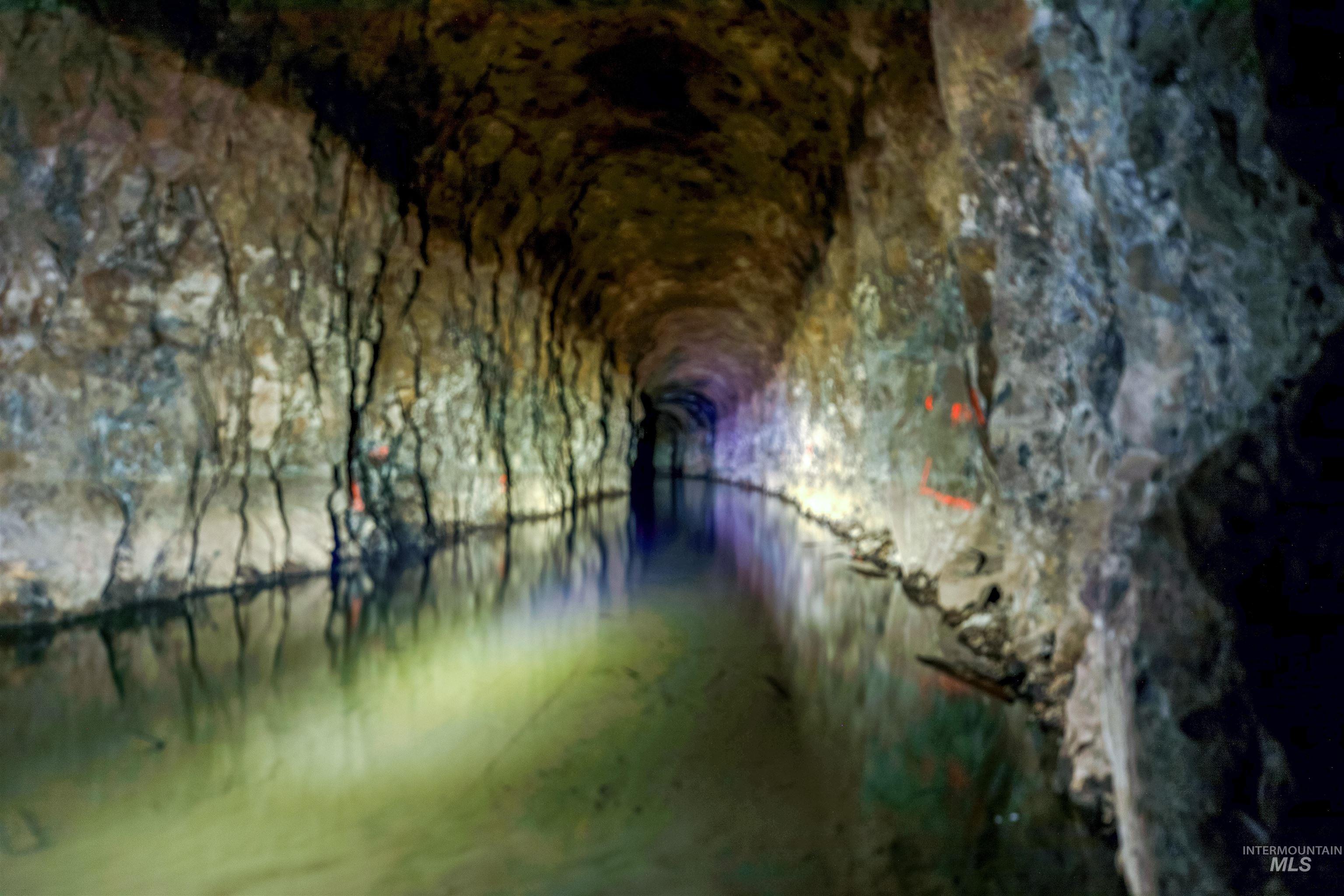 View of home's community