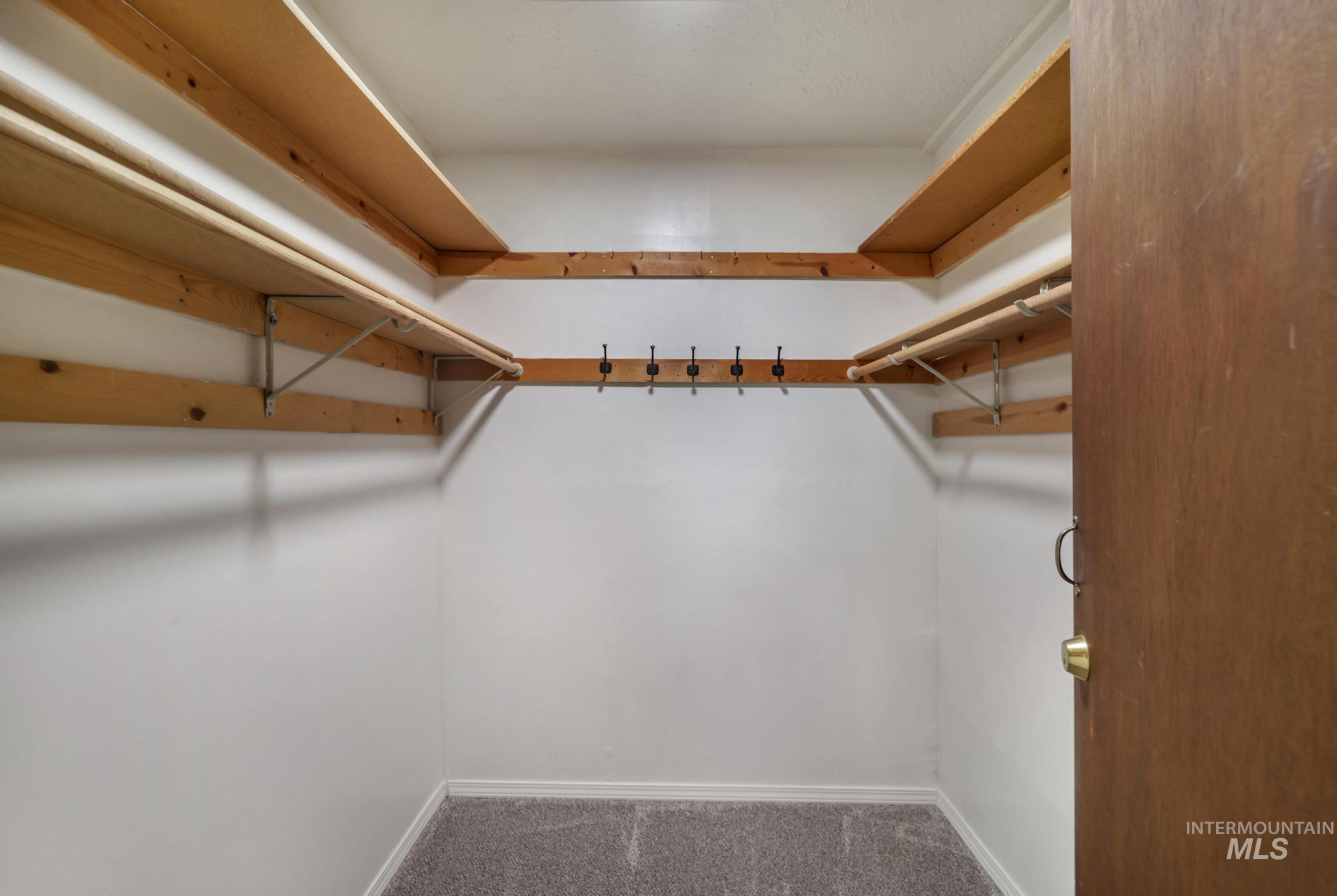 Walk in closet with carpet