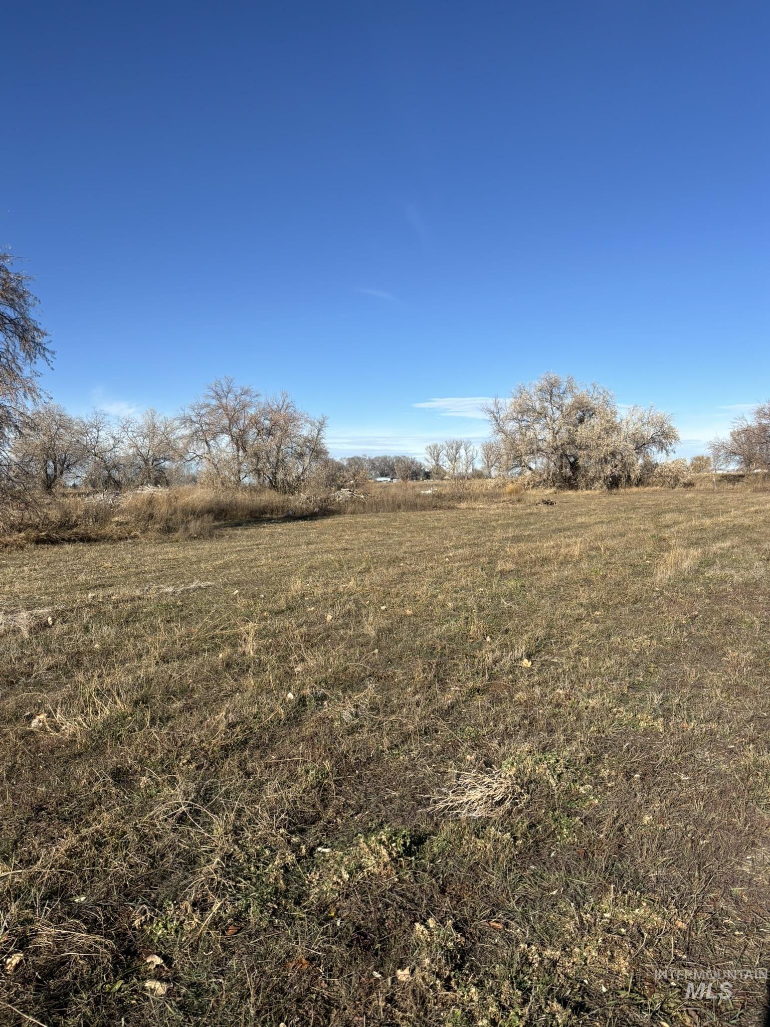 View of local wilderness featuring rural landscape