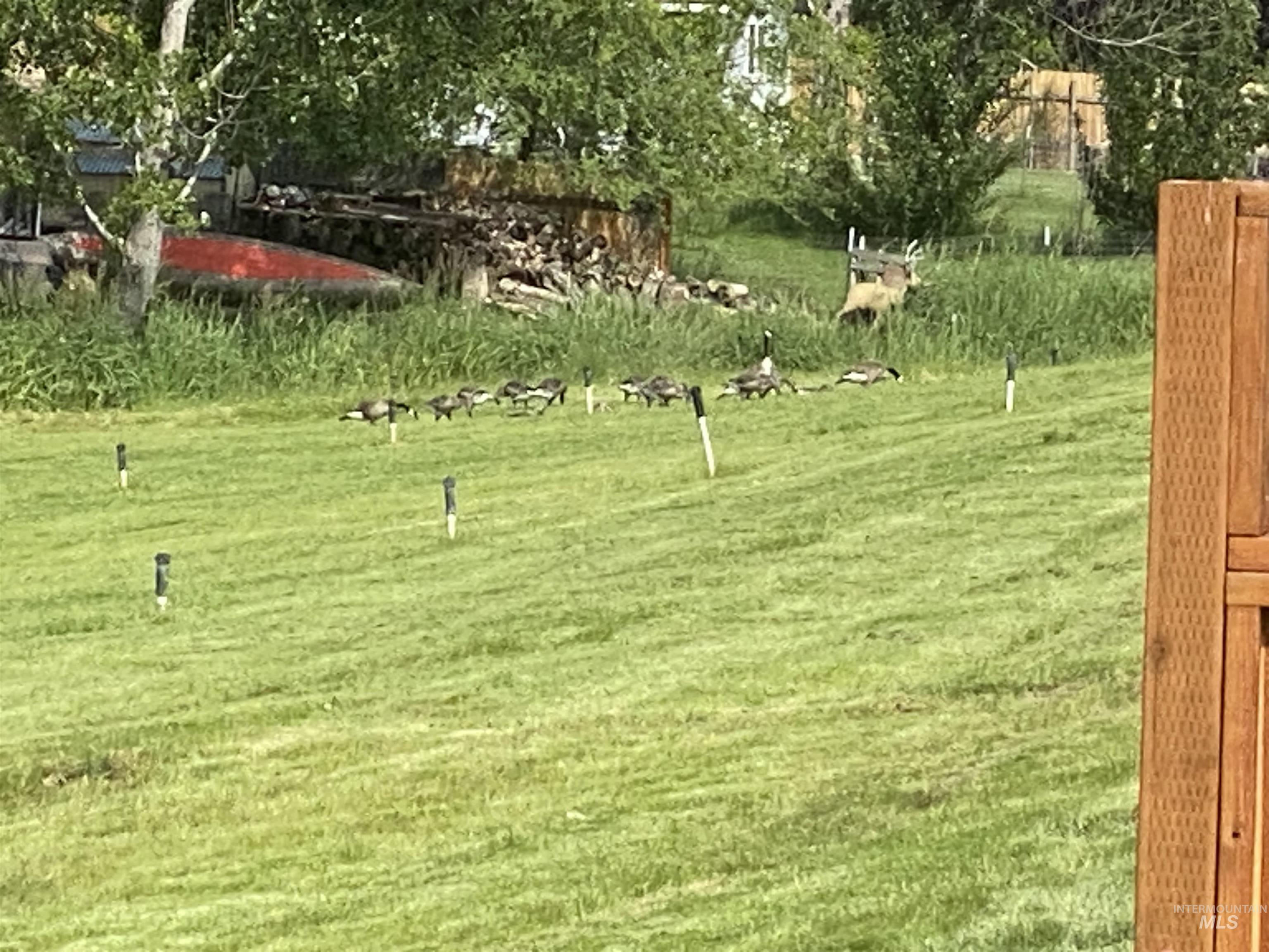 2504 E Hidden Creek Street, Nampa, Idaho 83687, 3 Bedrooms, 2 Bathrooms, Residential For Sale, Price $374,900, 98969888