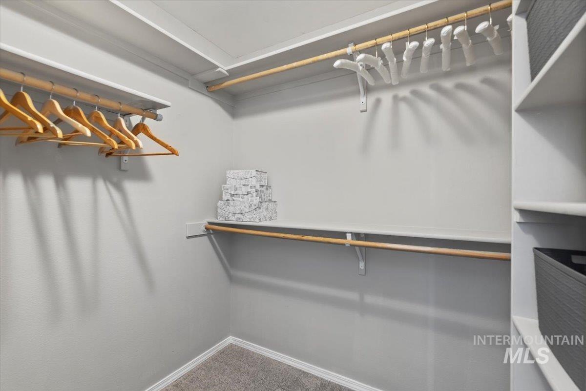 Walk in closet with carpet flooring