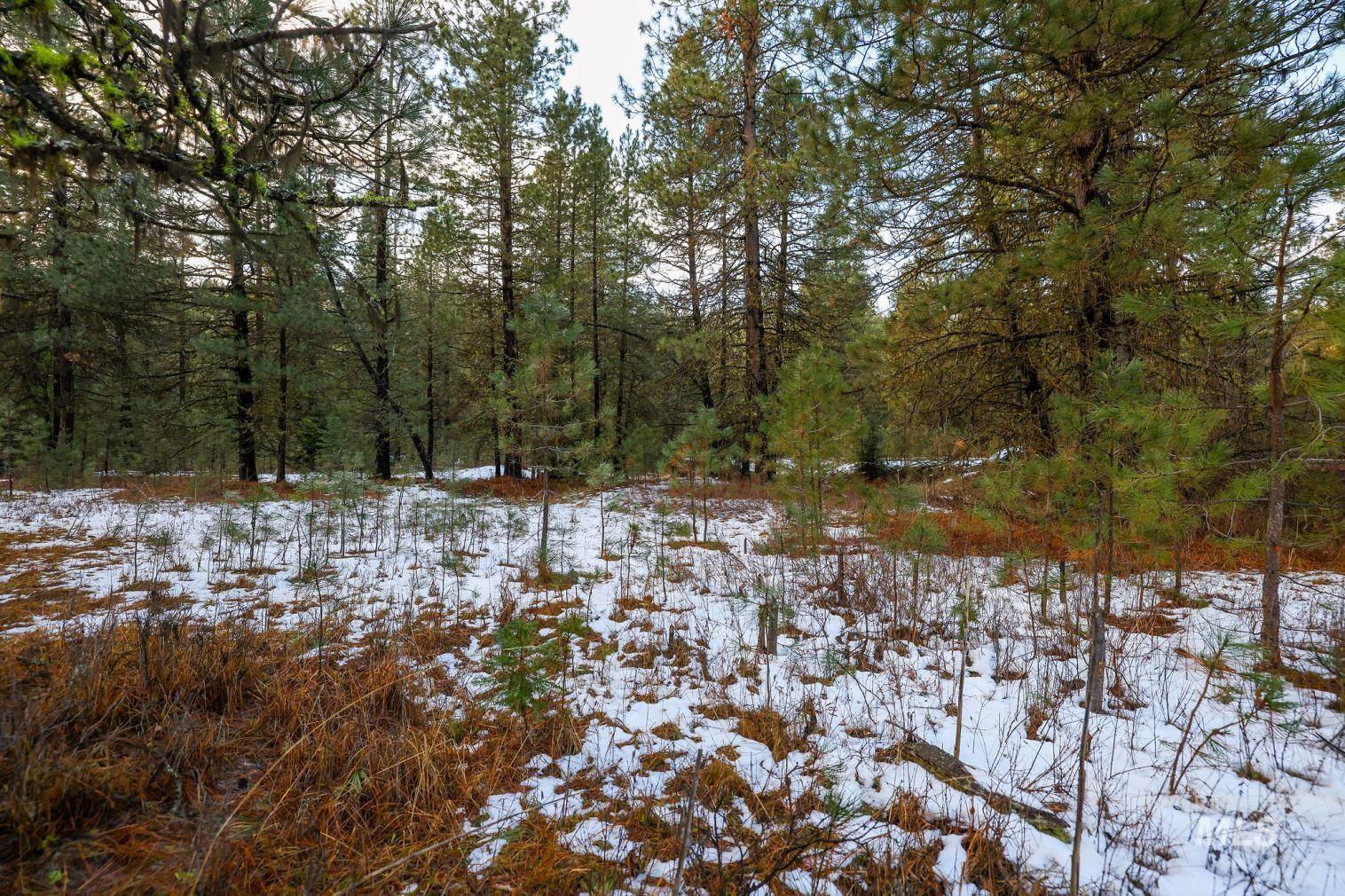 Lot 31 Round Valley Road, New Meadows, Idaho 83654, Land For Sale, Price $529,000, 98969921