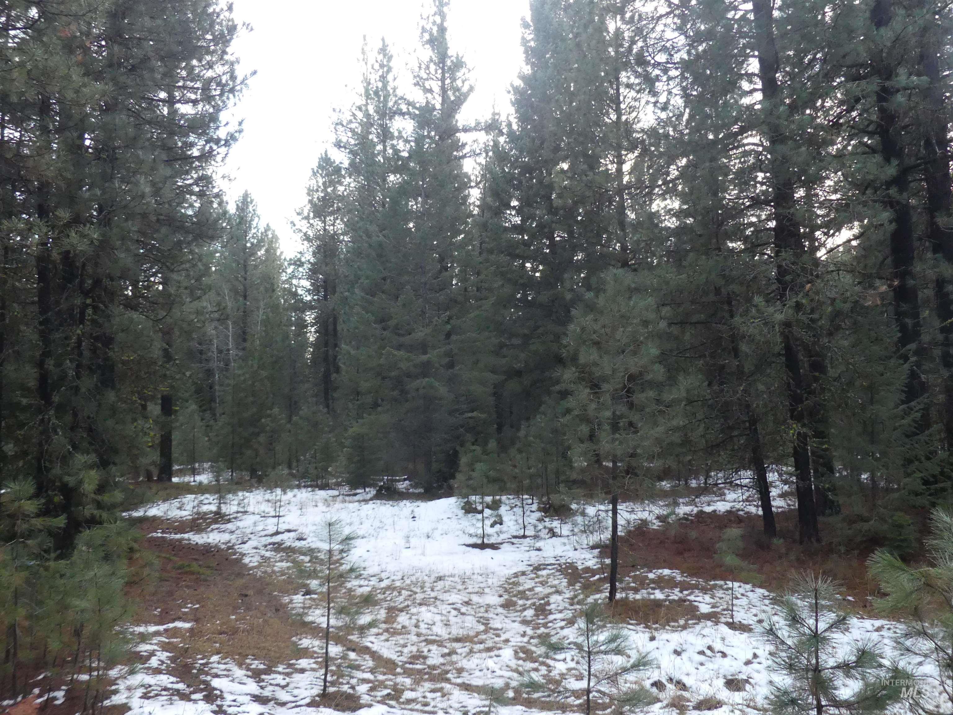 Lot 31 Round Valley Road, New Meadows, Idaho 83654, Land For Sale, Price $529,000, 98969921