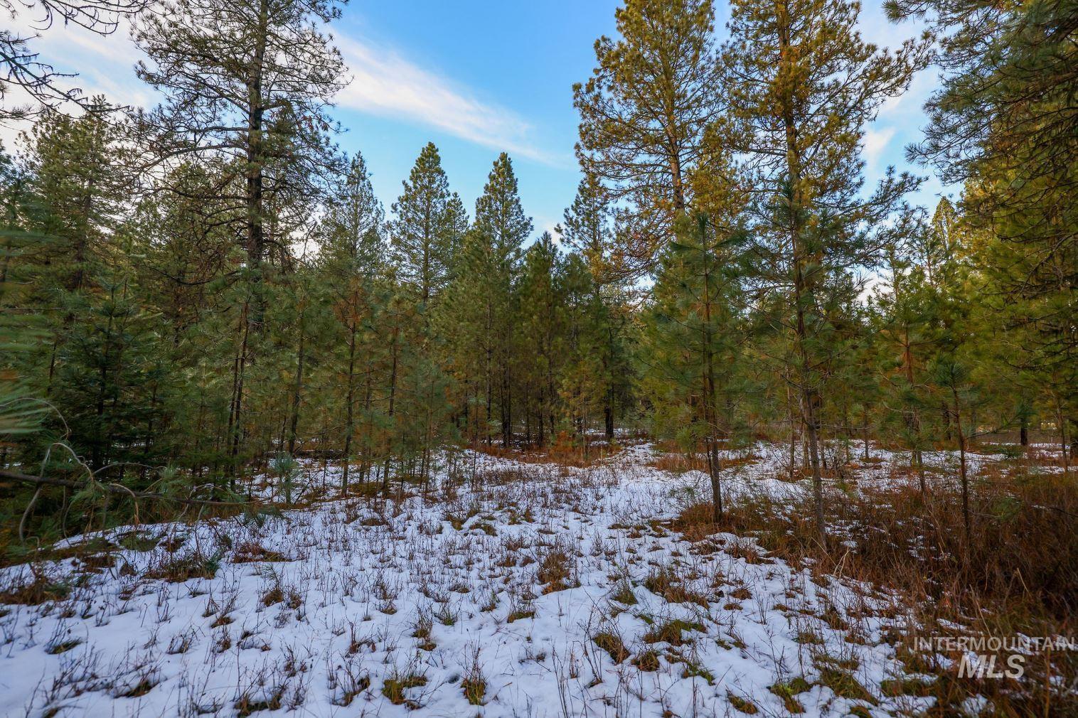Lot 31 Round Valley Road, New Meadows, Idaho 83654, Land For Sale, Price $529,000, 98969921
