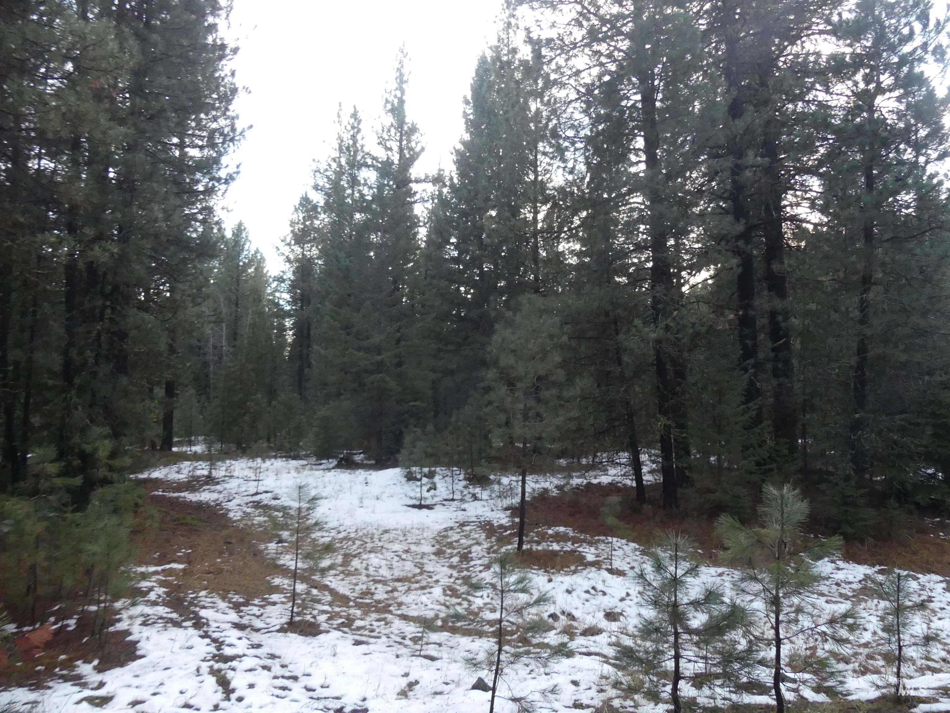 Lot 31 Round Valley Road, New Meadows, Idaho 83654, Land For Sale, Price $529,000, 98969921