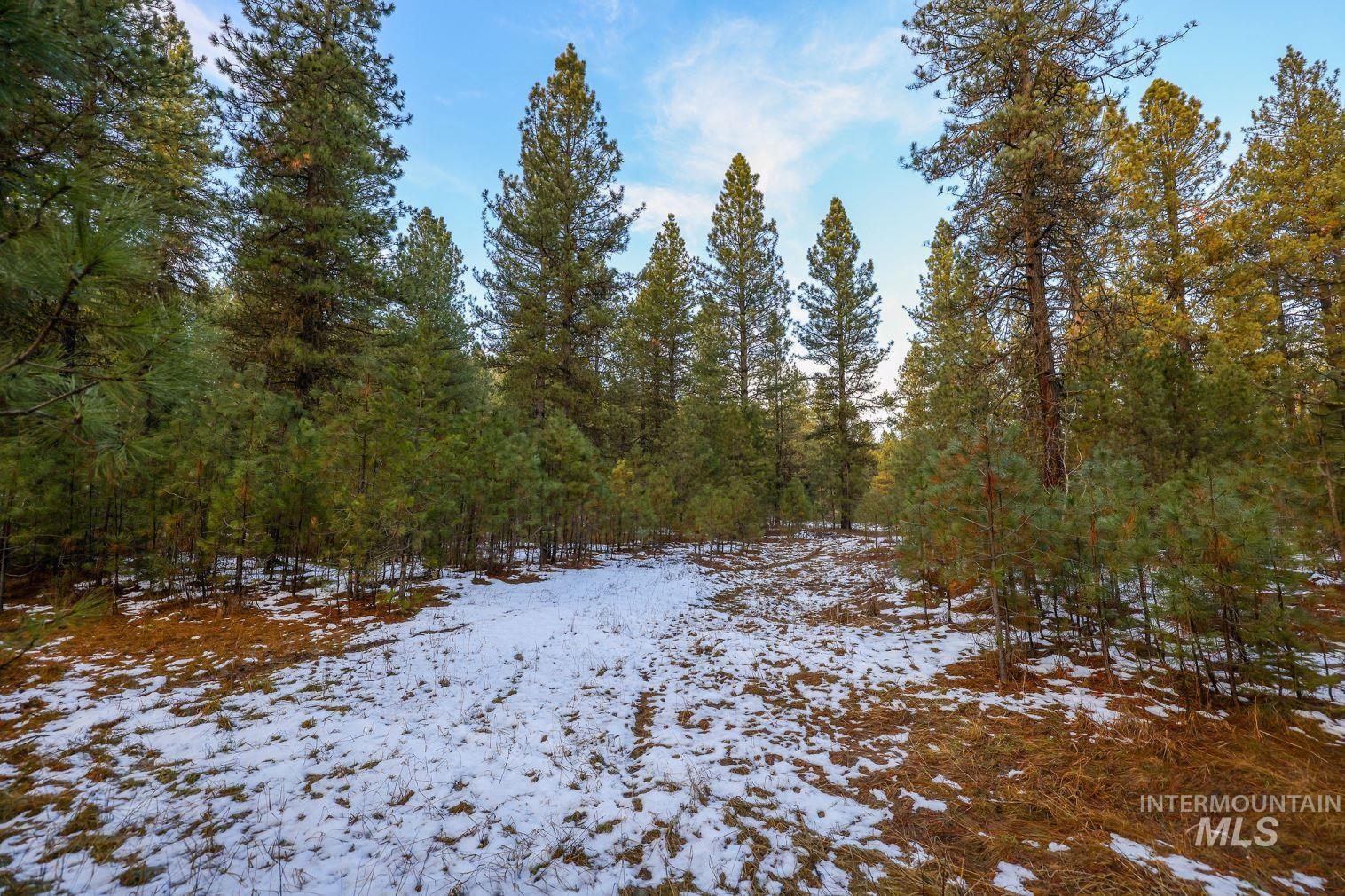 Lot 31 Round Valley Road, New Meadows, Idaho 83654, Land For Sale, Price $529,000, 98969921