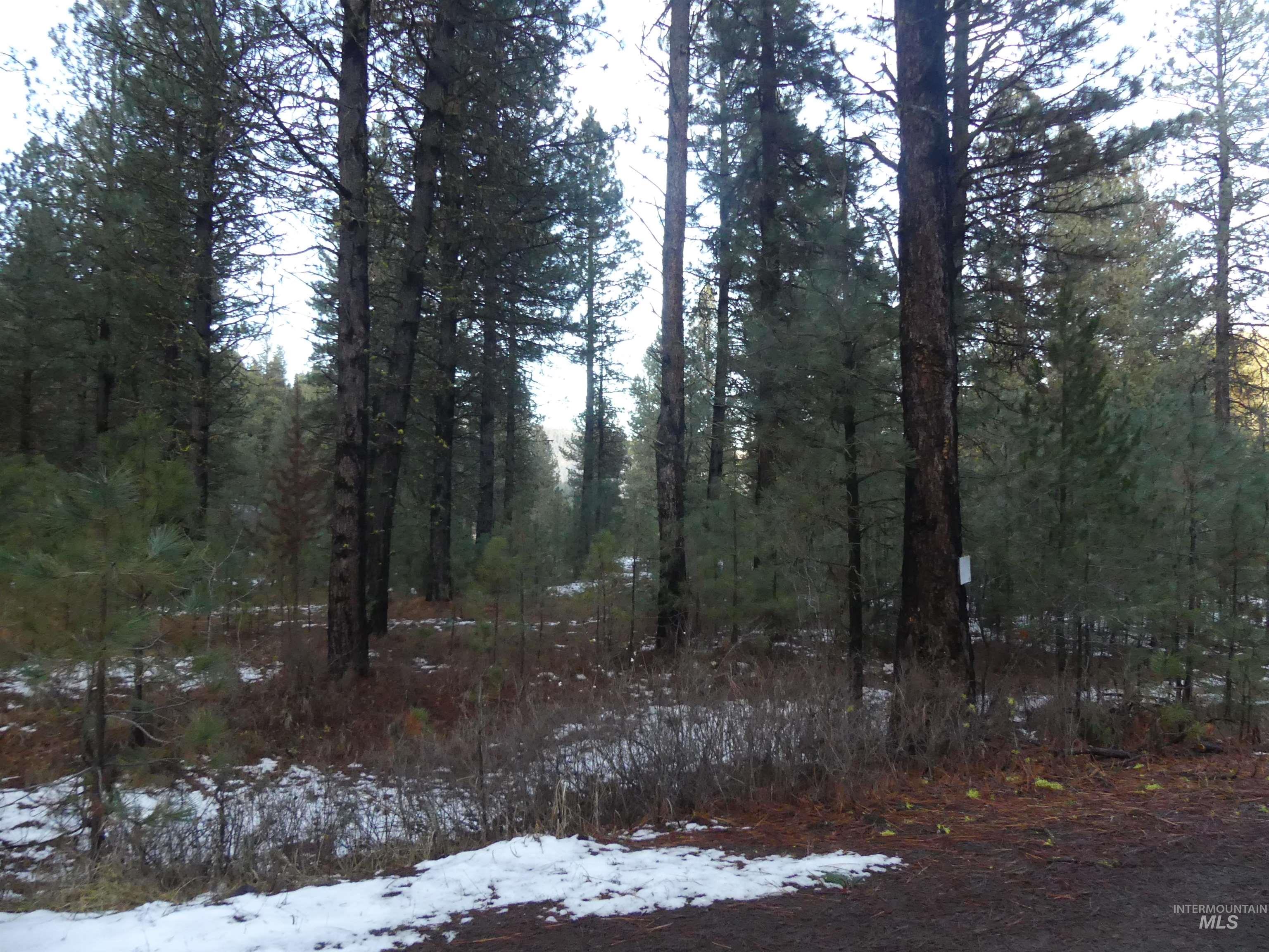 Lot 31 Round Valley Road, New Meadows, Idaho 83654, Land For Sale, Price $529,000, 98969921