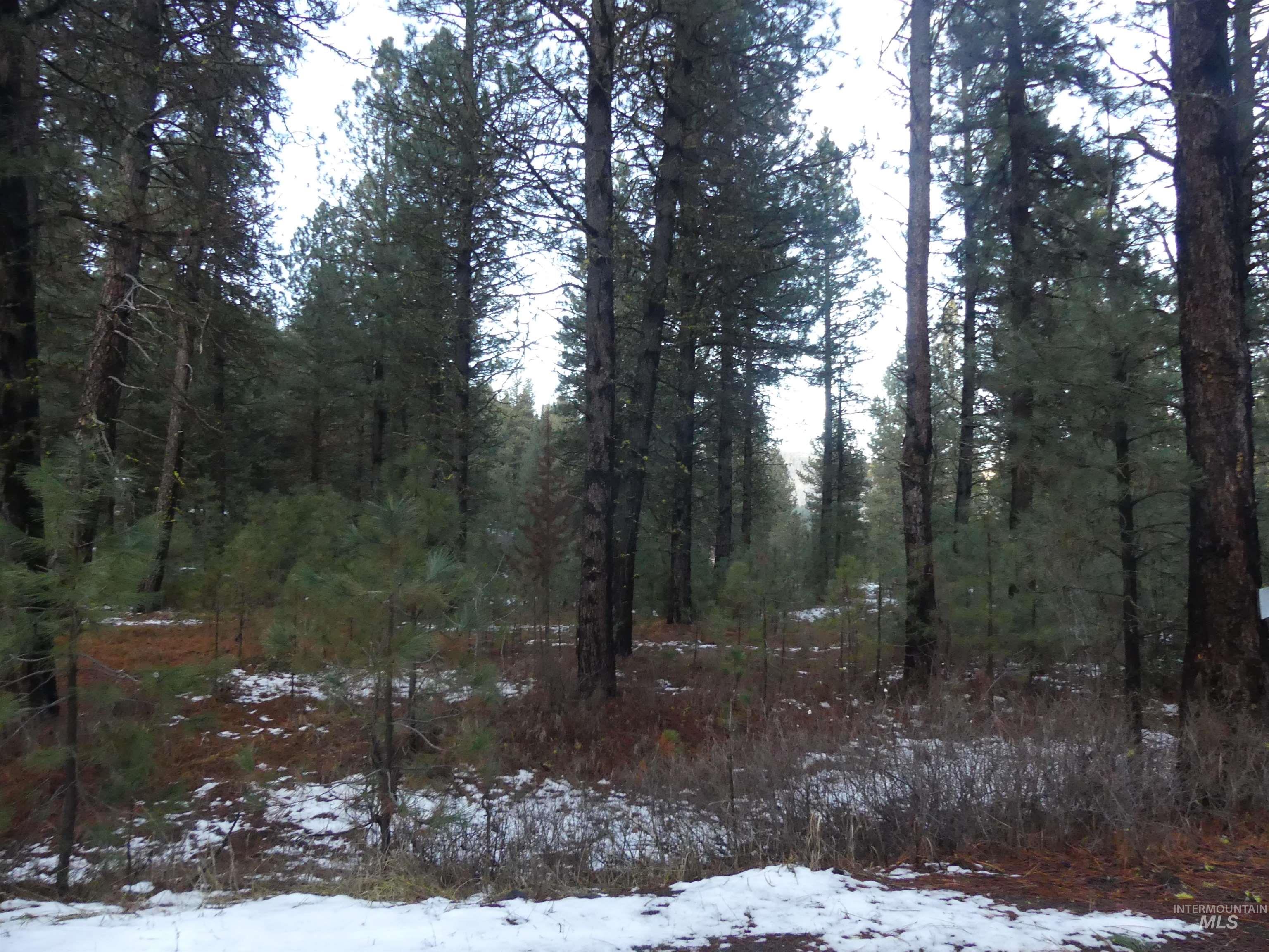 Lot 31 Round Valley Road, New Meadows, Idaho 83654, Land For Sale, Price $529,000, 98969921