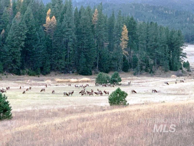 Lot 31 Round Valley Road, New Meadows, Idaho 83654, Land For Sale, Price $529,000, 98969921