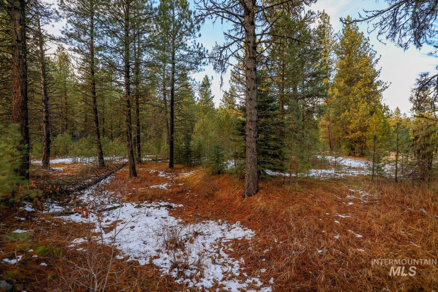 Lot 31 Round Valley Road, New Meadows, Idaho 83654, Land For Sale, Price $529,000, 98969921