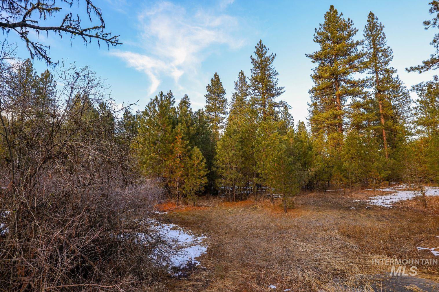 Lot 31 Round Valley Road, New Meadows, Idaho 83654, Land For Sale, Price $529,000, 98969921