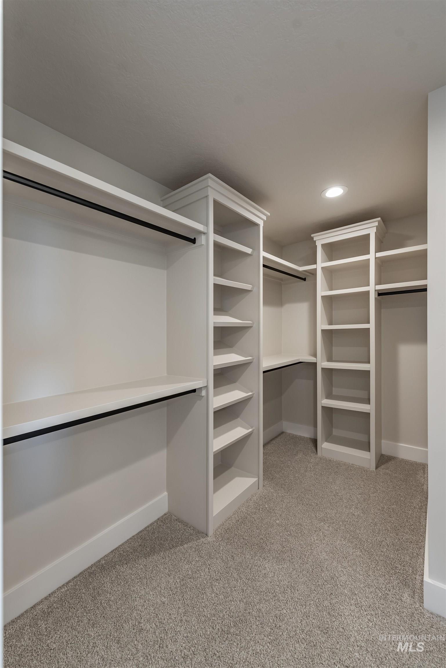 Spacious closet with light carpet