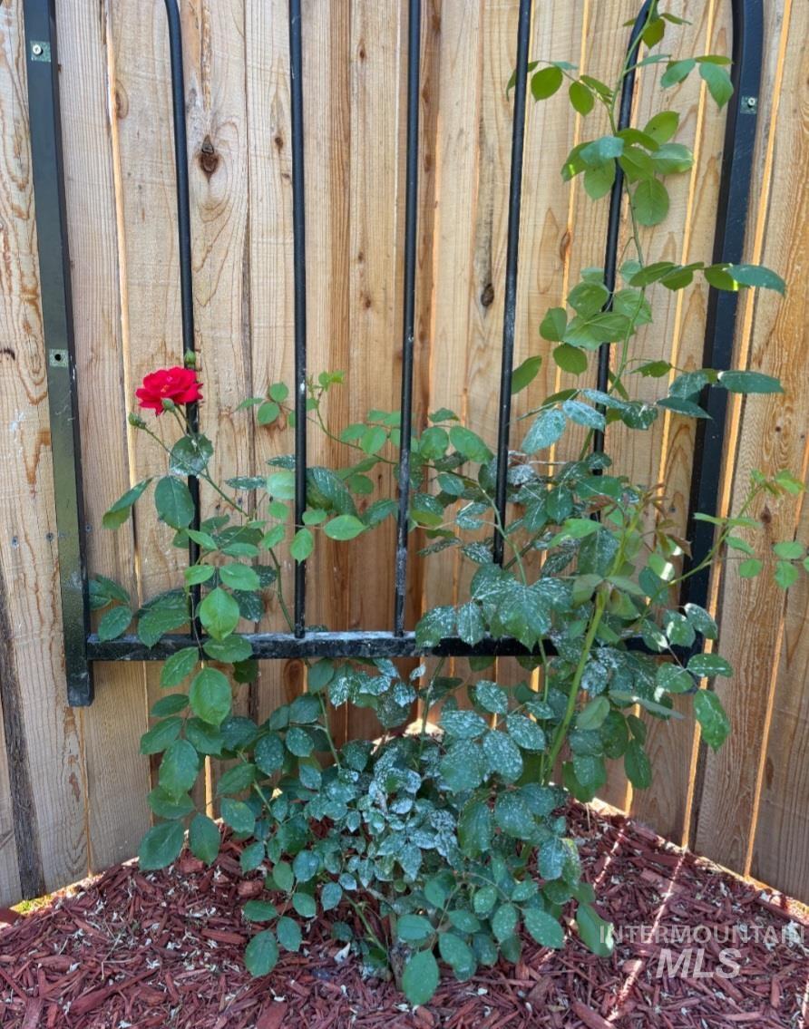 409 N 7th St, Payette, Idaho 83661, 3 Bedrooms, 1 Bathroom, Residential For Sale, Price $270,000, 98969946