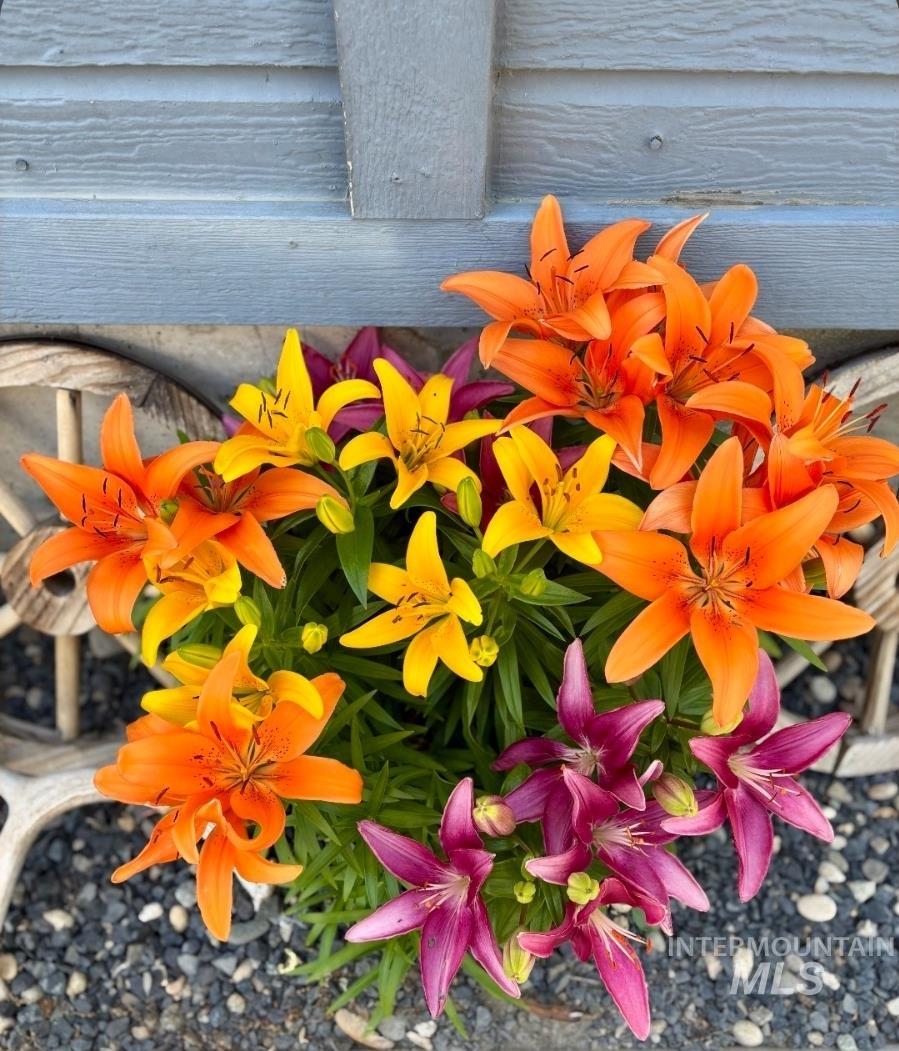 409 N 7th St, Payette, Idaho 83661, 3 Bedrooms, 1 Bathroom, Residential For Sale, Price $270,000, 98969946