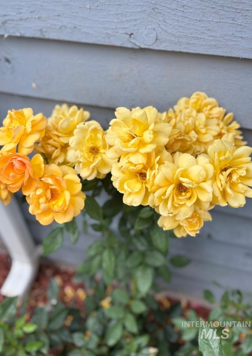 409 N 7th St, Payette, Idaho 83661, 3 Bedrooms, 1 Bathroom, Residential For Sale, Price $270,000, 98969946