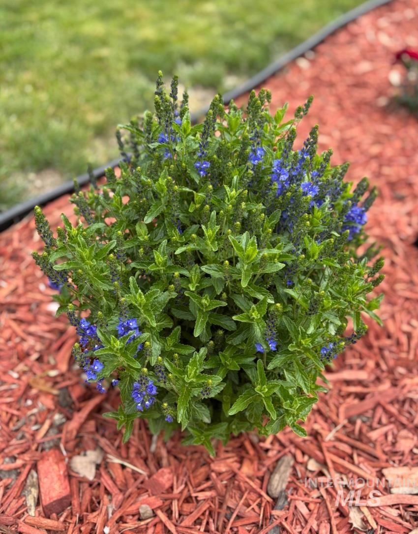 409 N 7th St, Payette, Idaho 83661, 3 Bedrooms, 1 Bathroom, Residential For Sale, Price $270,000, 98969946