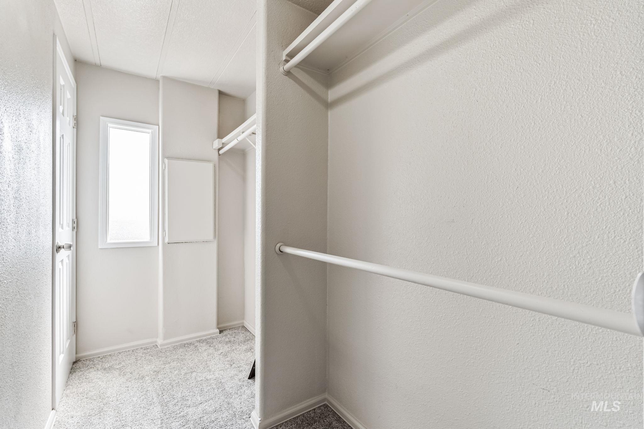 Spacious closet with light carpet