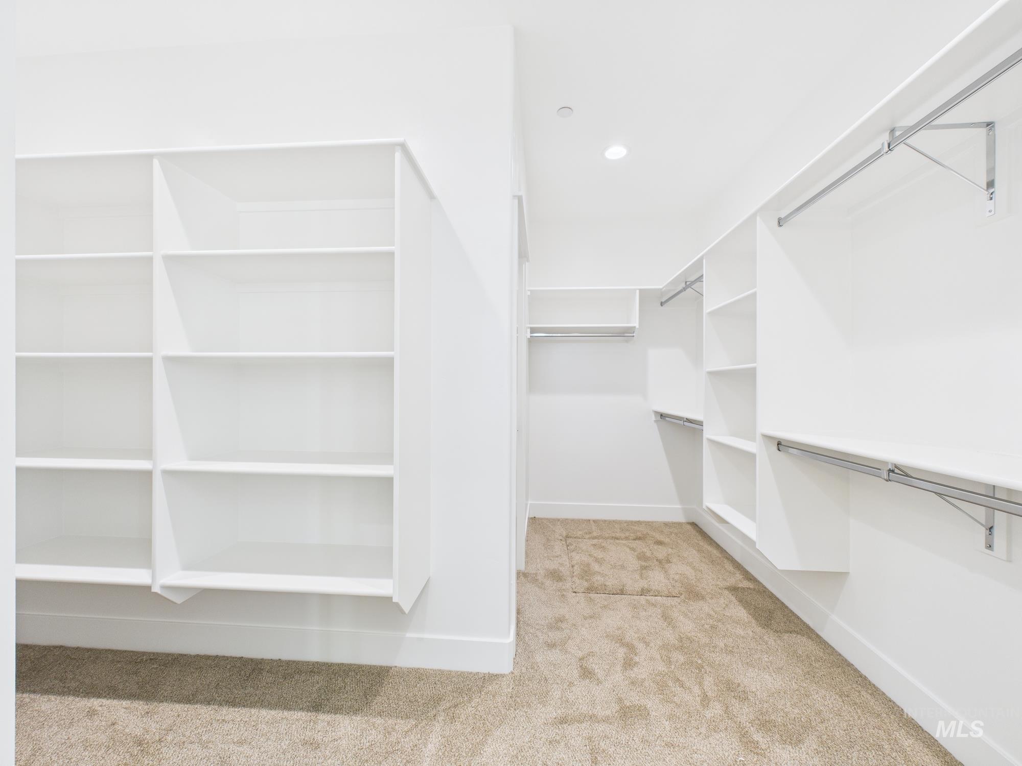 Walk in closet featuring light carpet
