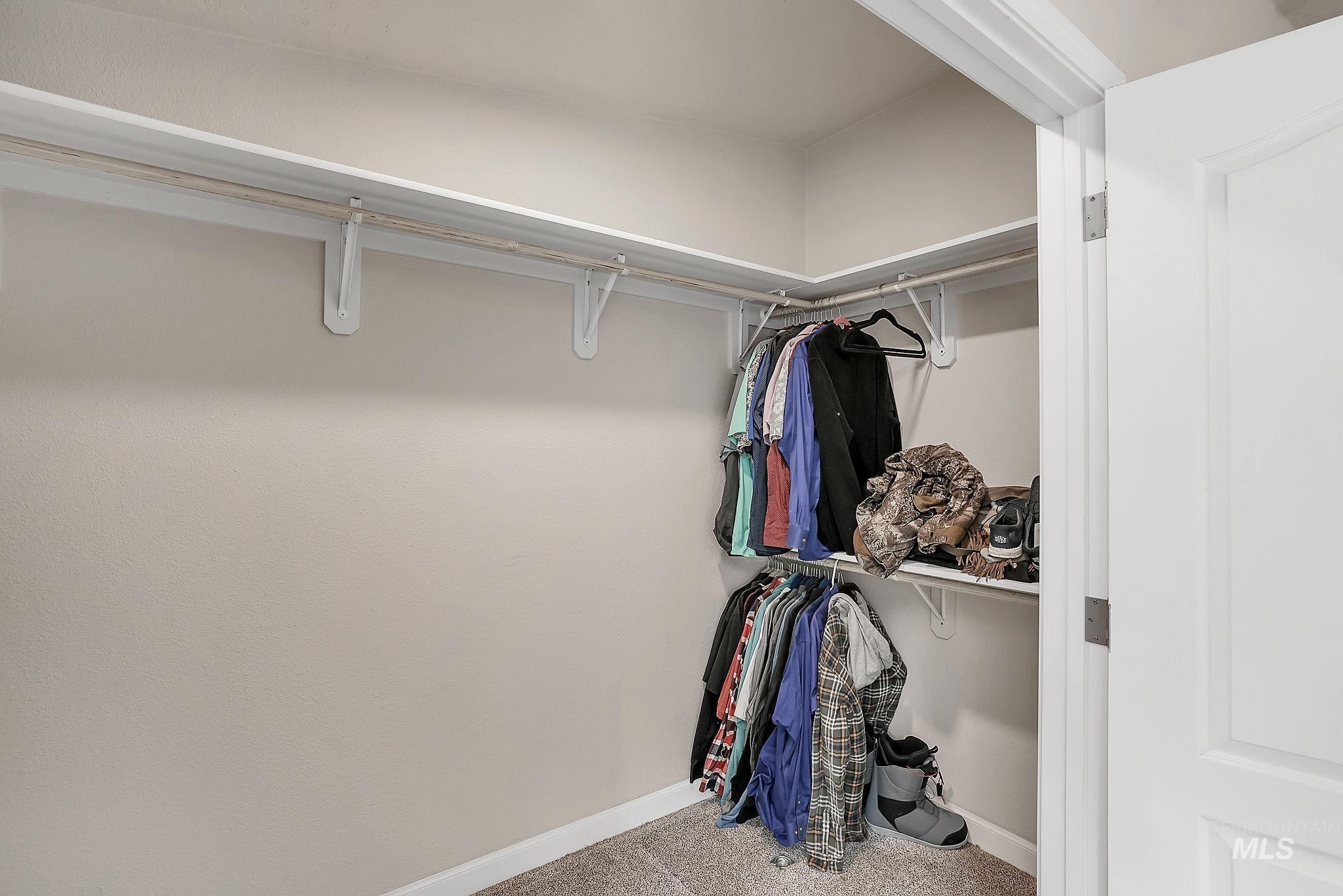 Walk in closet with carpet flooring