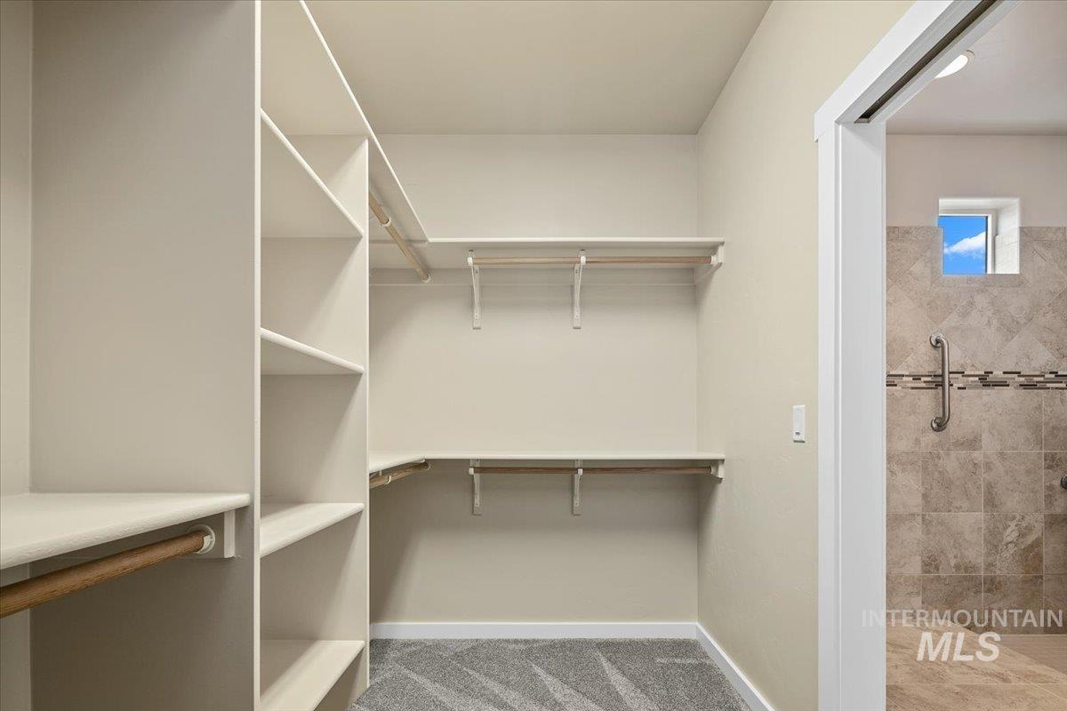 Walk in closet featuring carpet floors