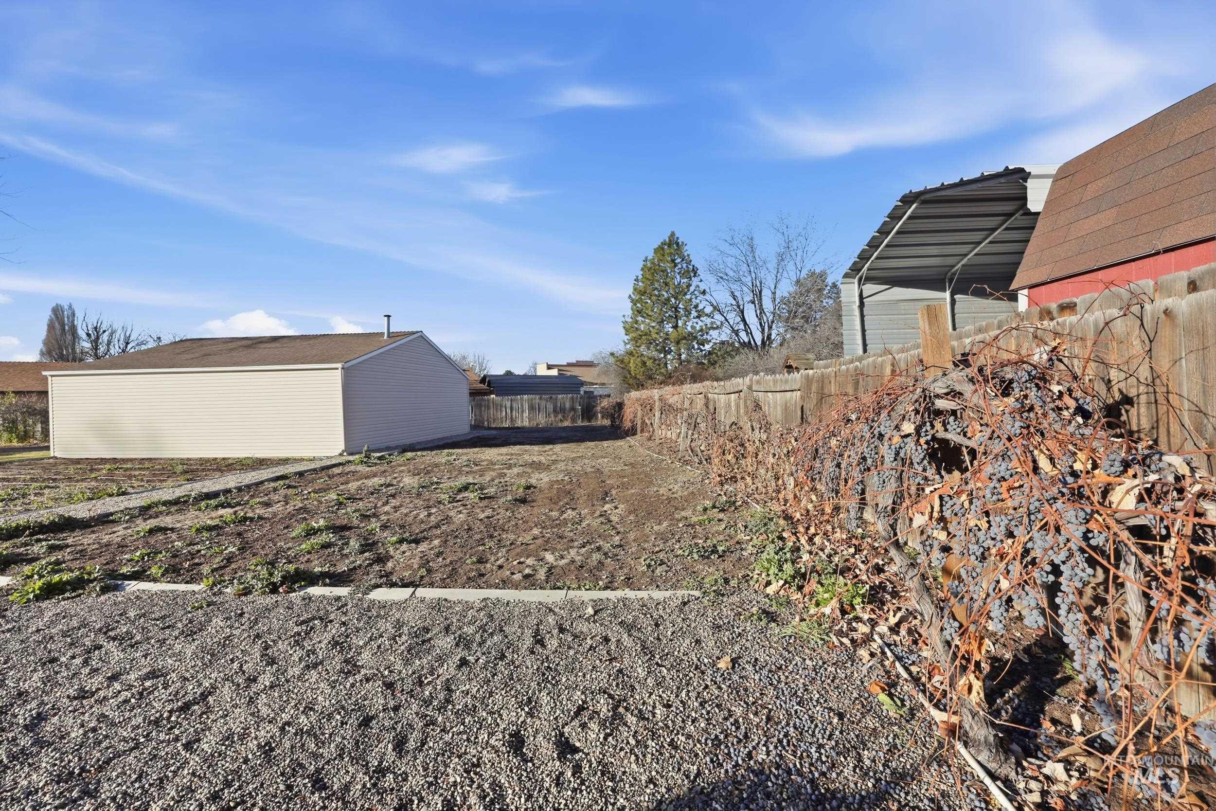 View of yard and 40 year old concord grape vines and drip irrigation garden space.