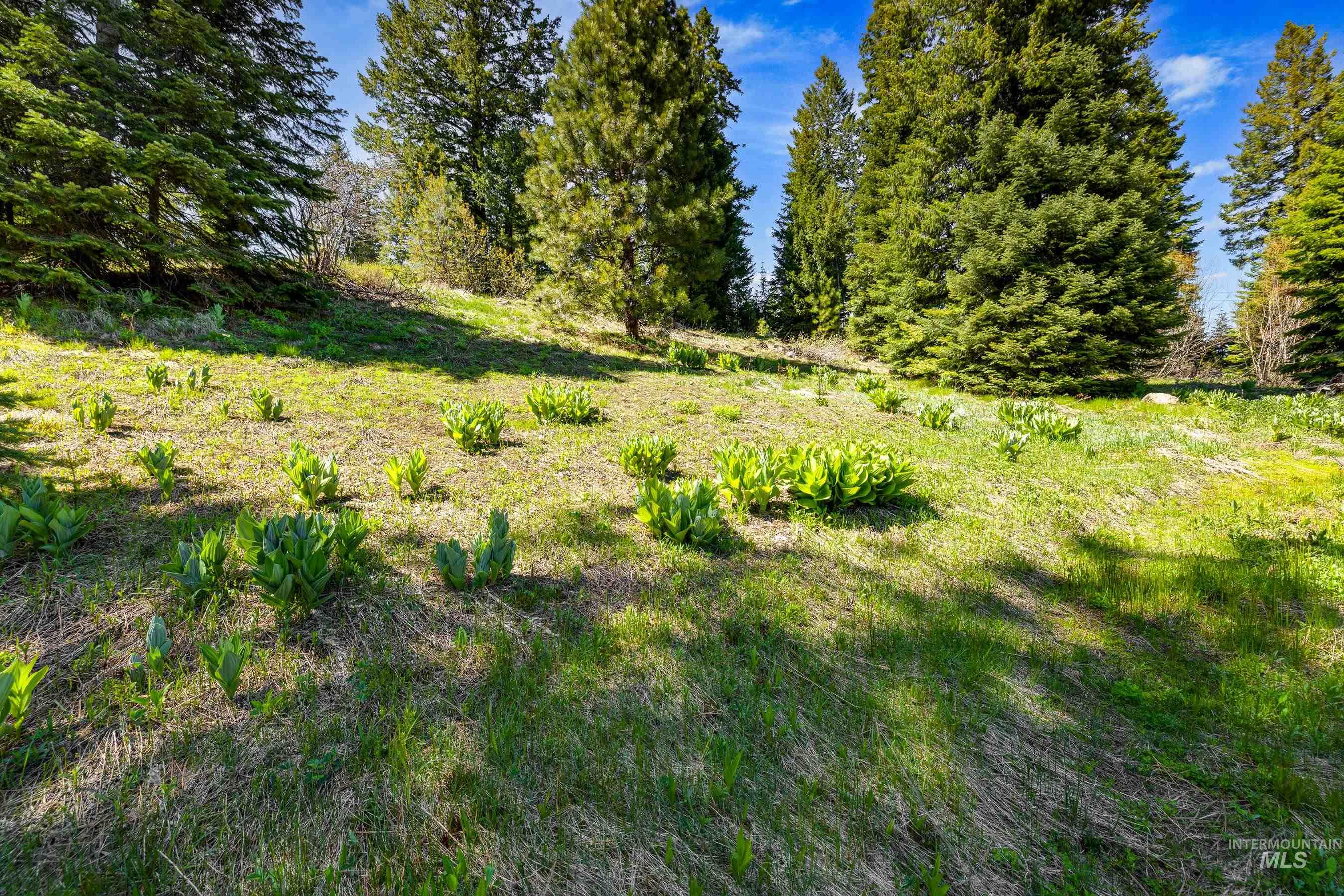 484 Whitewater Drive, Donnelly, Idaho 83615, Land For Sale, Price $595,000, 98969998