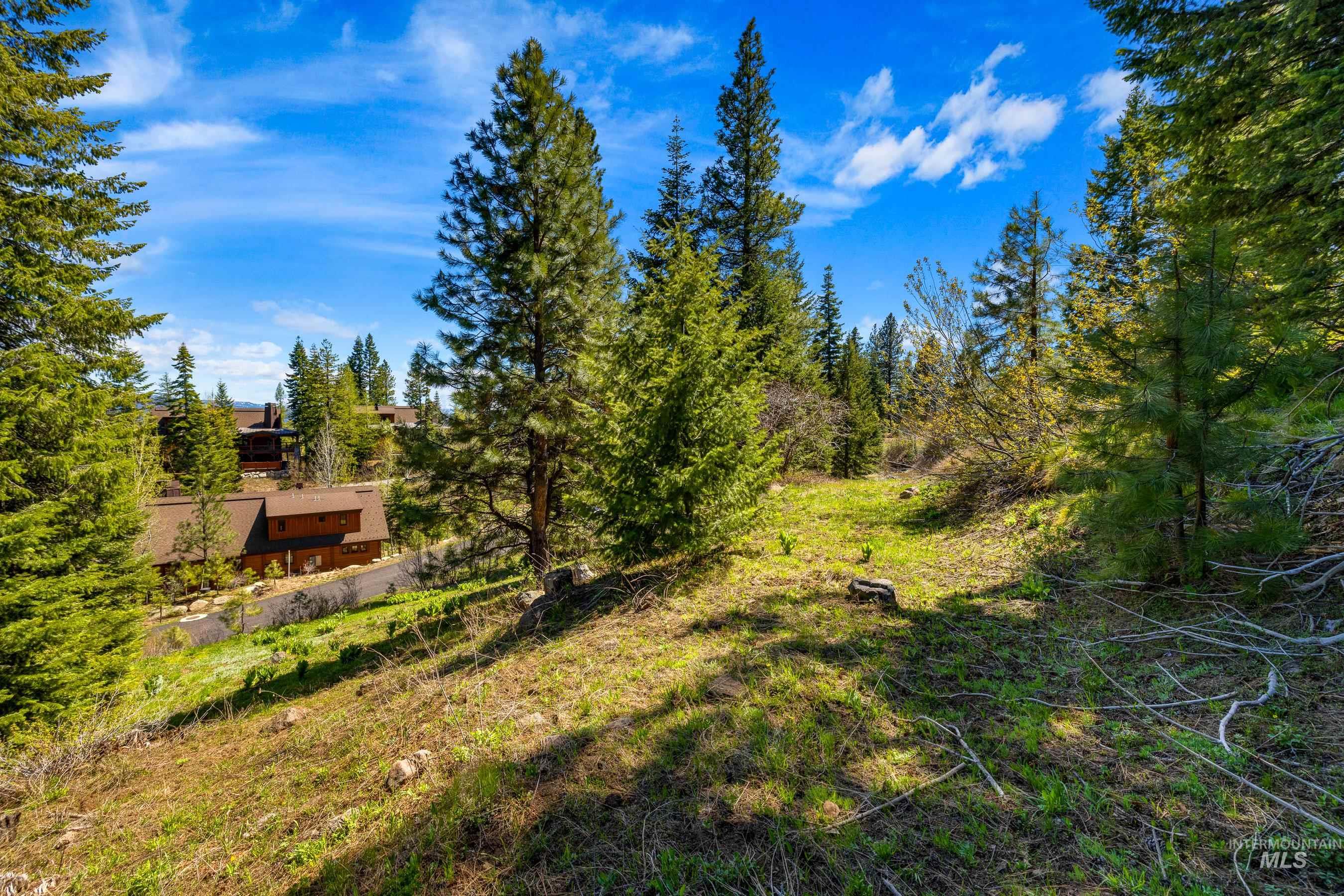 484 Whitewater Drive, Donnelly, Idaho 83615, Land For Sale, Price $595,000, 98969998
