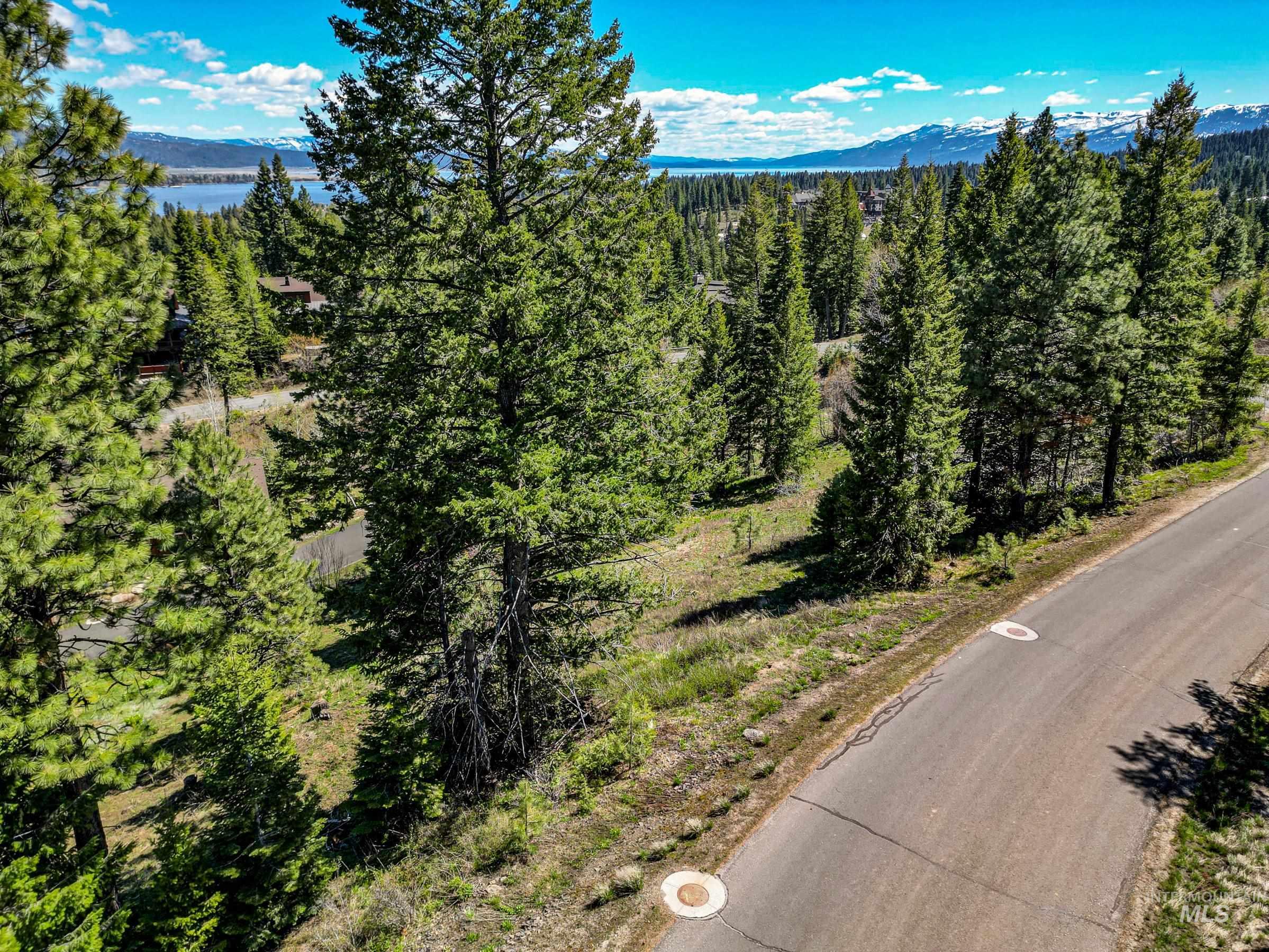 484 Whitewater Drive, Donnelly, Idaho 83615, Land For Sale, Price $595,000, 98969998