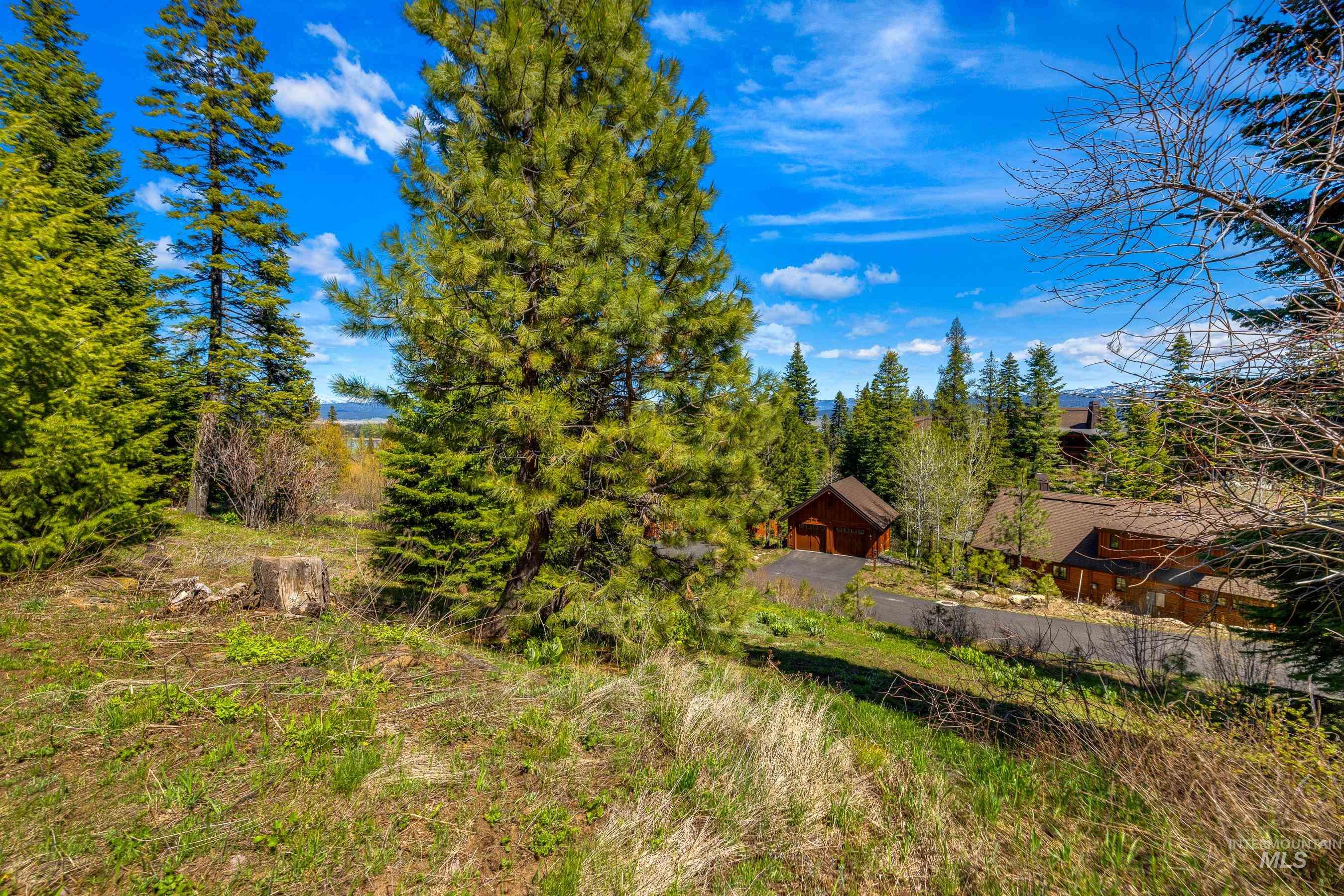 484 Whitewater Drive, Donnelly, Idaho 83615, Land For Sale, Price $595,000, 98969998