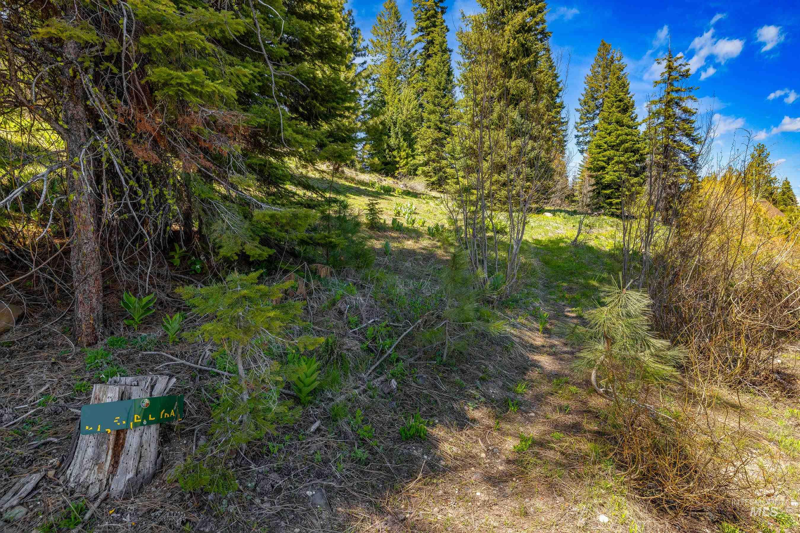 484 Whitewater Drive, Donnelly, Idaho 83615, Land For Sale, Price $595,000, 98969998