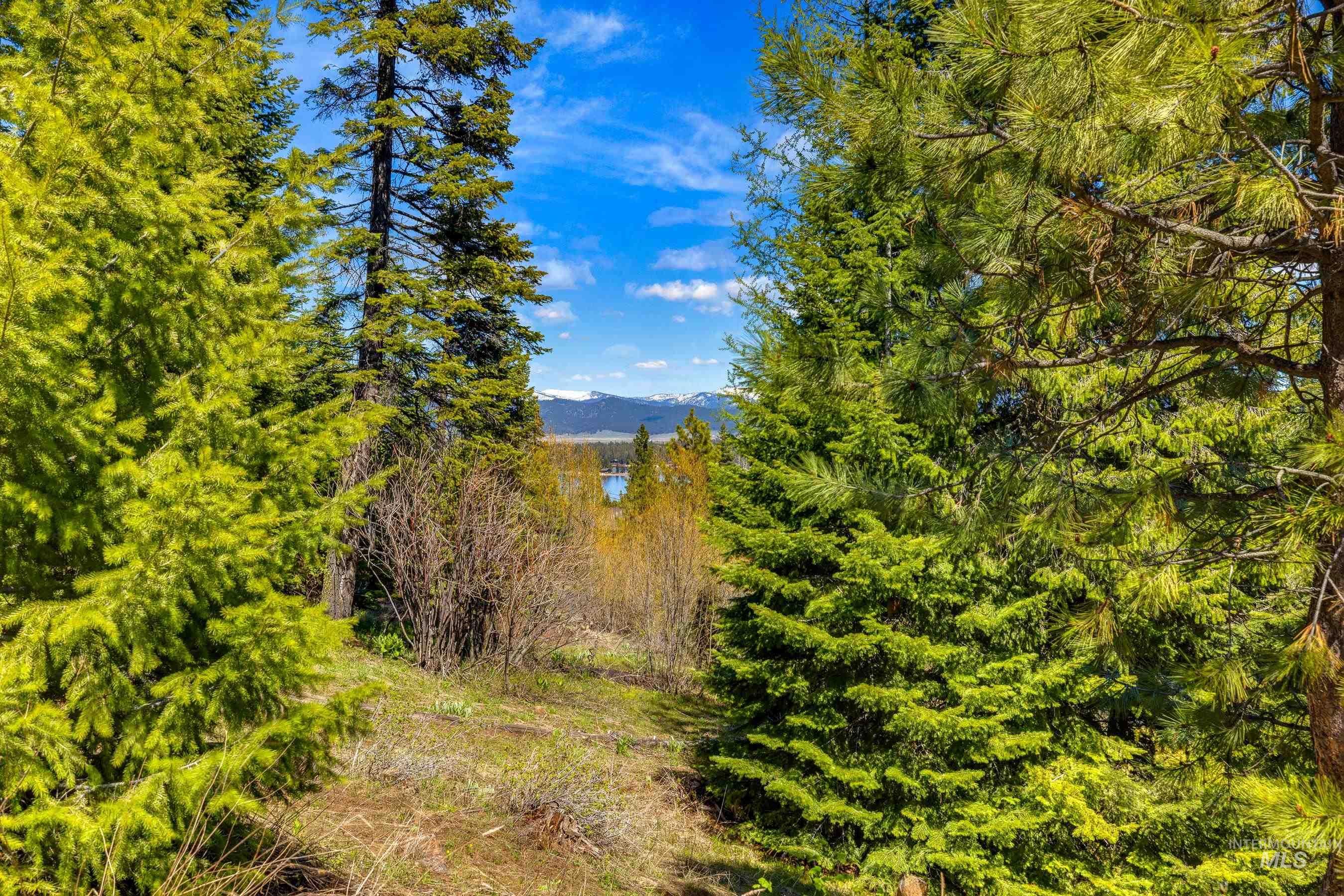 484 Whitewater Drive, Donnelly, Idaho 83615, Land For Sale, Price $595,000, 98969998