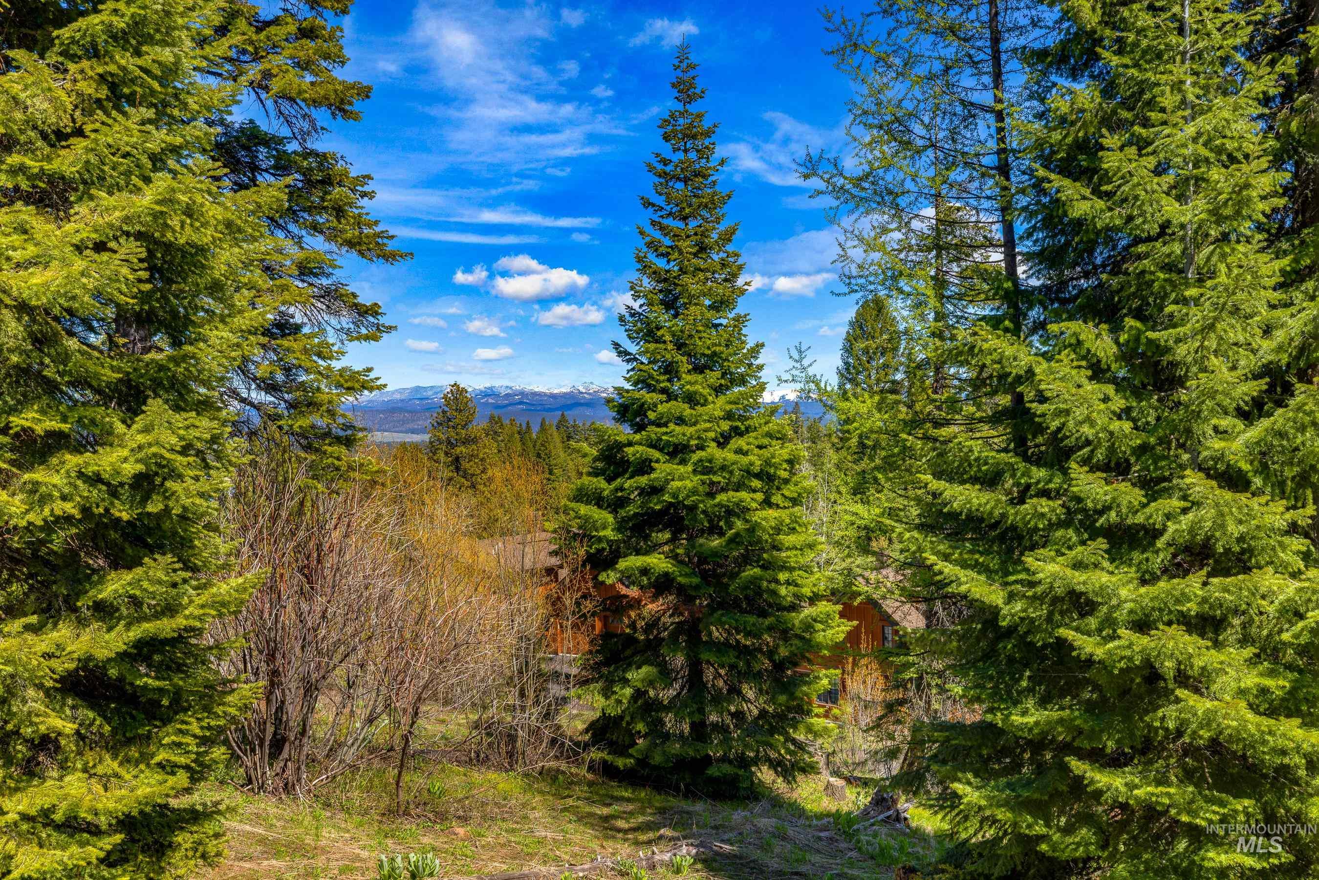484 Whitewater Drive, Donnelly, Idaho 83615, Land For Sale, Price $595,000, 98969998