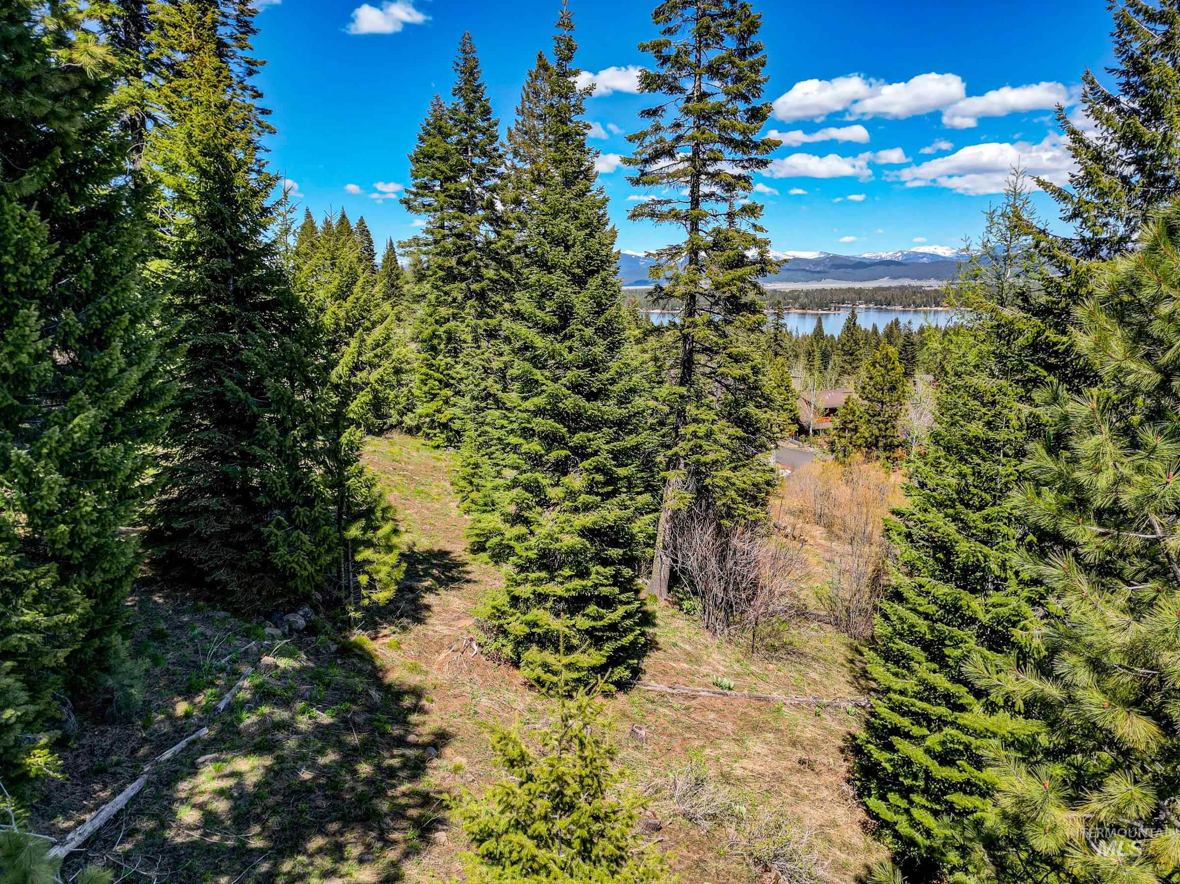 484 Whitewater Drive, Donnelly, Idaho 83615, Land For Sale, Price $595,000, 98969998