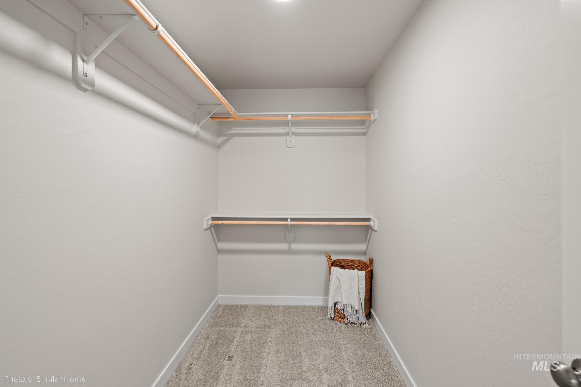Walk in closet featuring carpet flooring