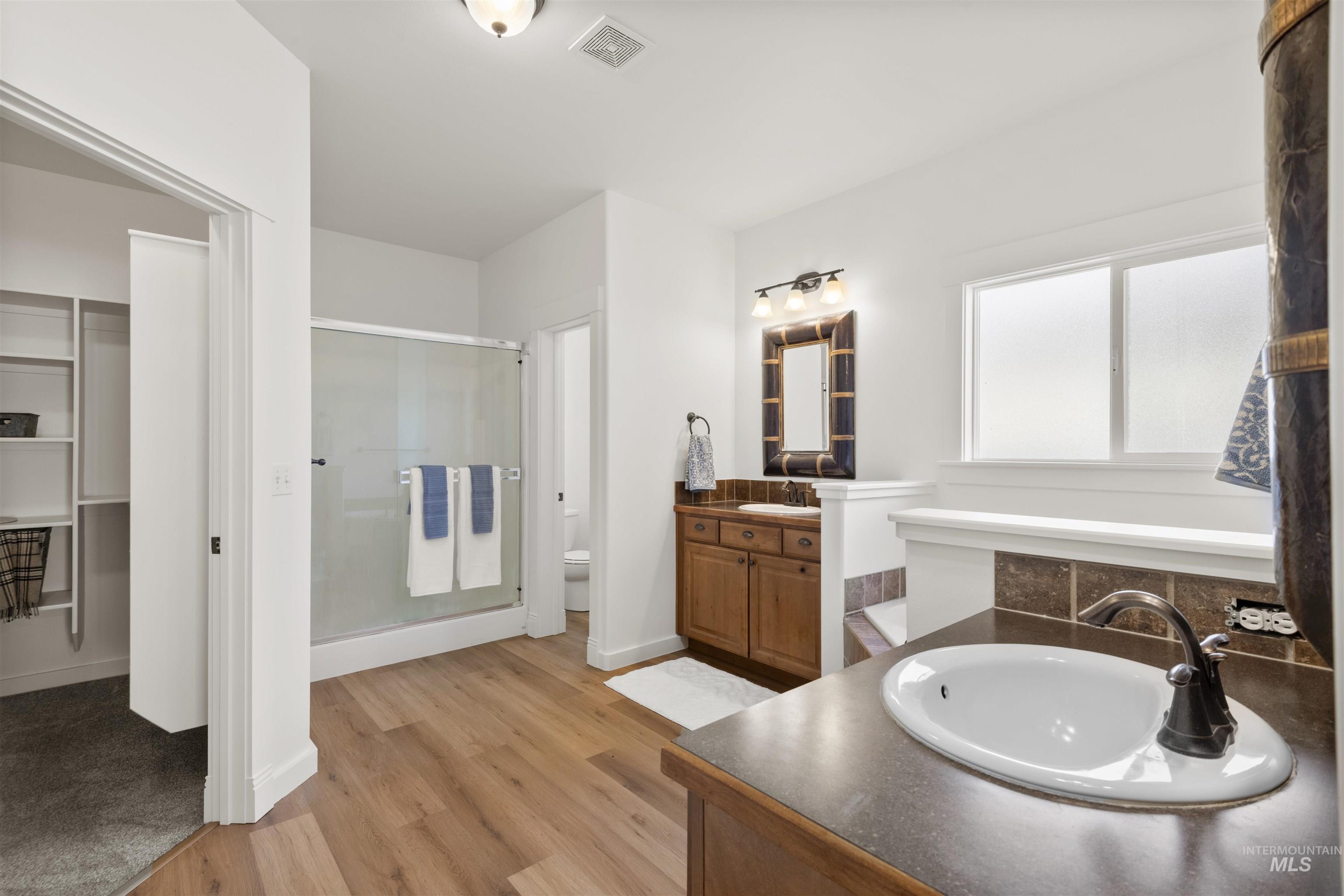 Bathroom with a spacious closet, vanity, light wood finished floors, and a shower stall